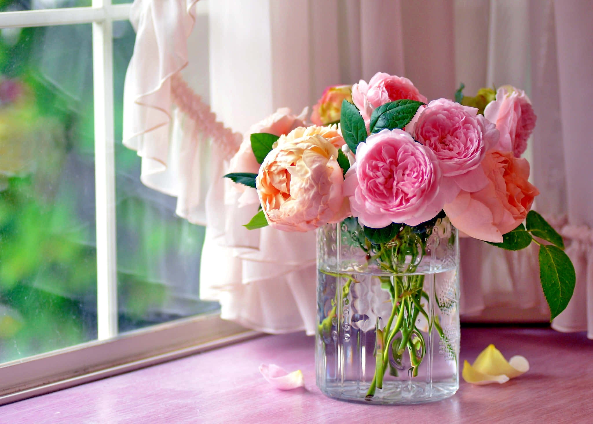 glass vase, pink wooden windowsill, white ruffled curtains, Full HD Desktop Wallpaper