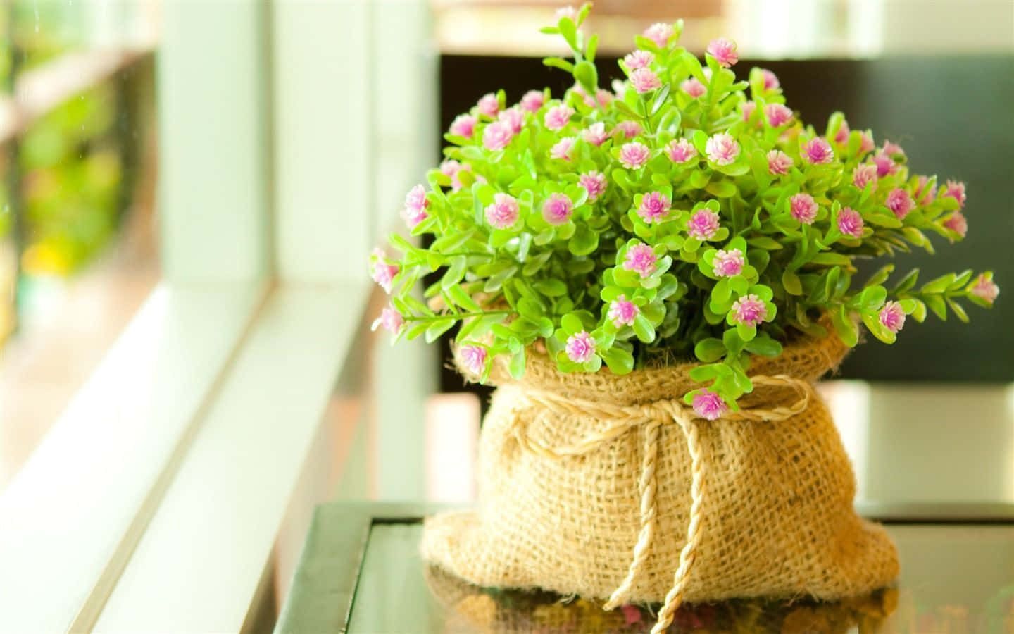 tiny pink flowers, rustic burlap sack, twine, HD Desktop Wallpaper