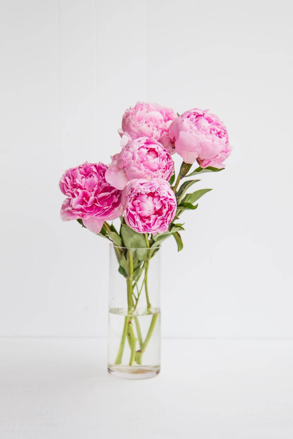 peony flowers, glass vase, clear glass vase, HD Phone Wallpaper
