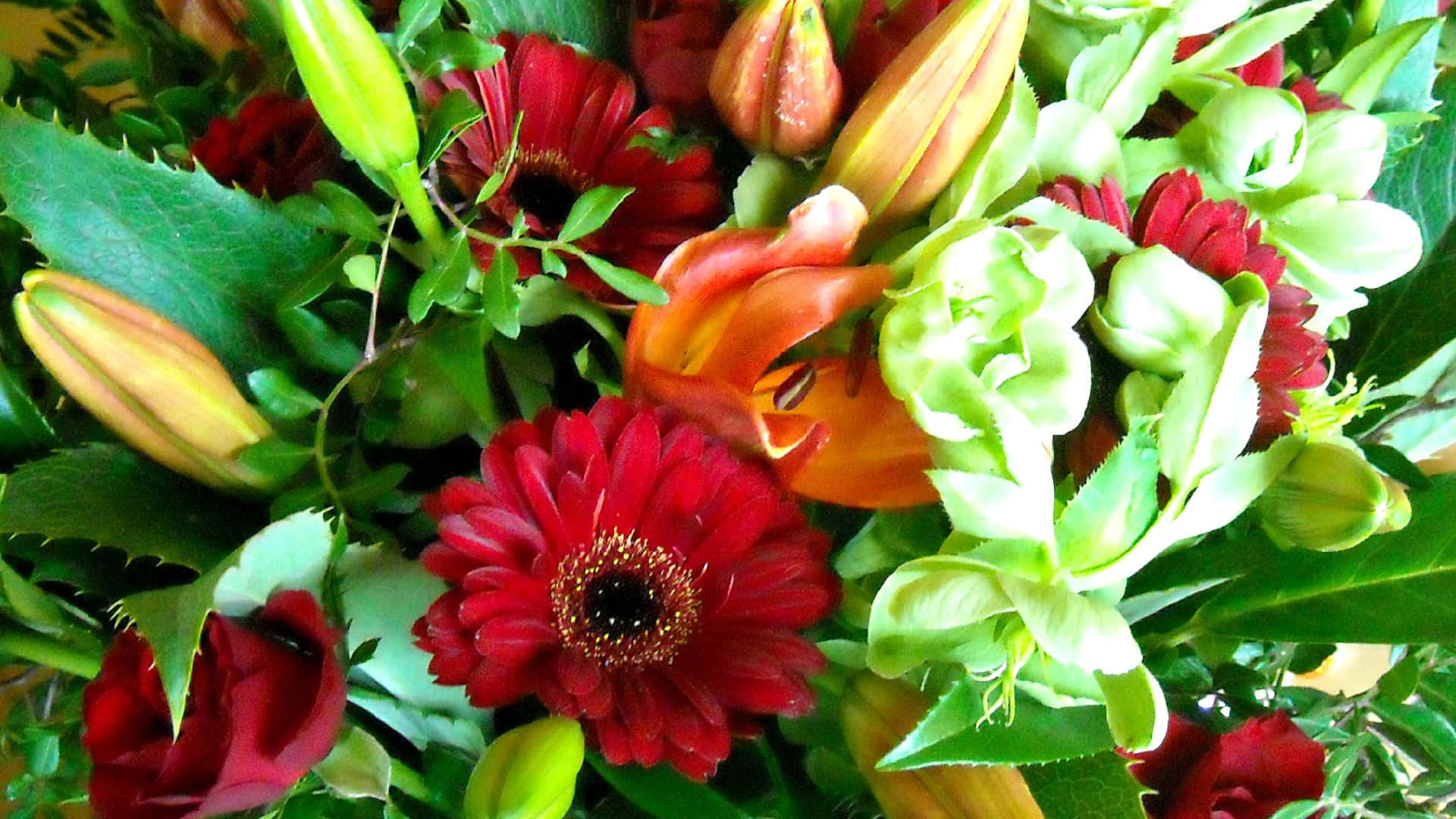 red gerbera daisies, orange lilies, green foliage, Full HD Desktop Wallpaper