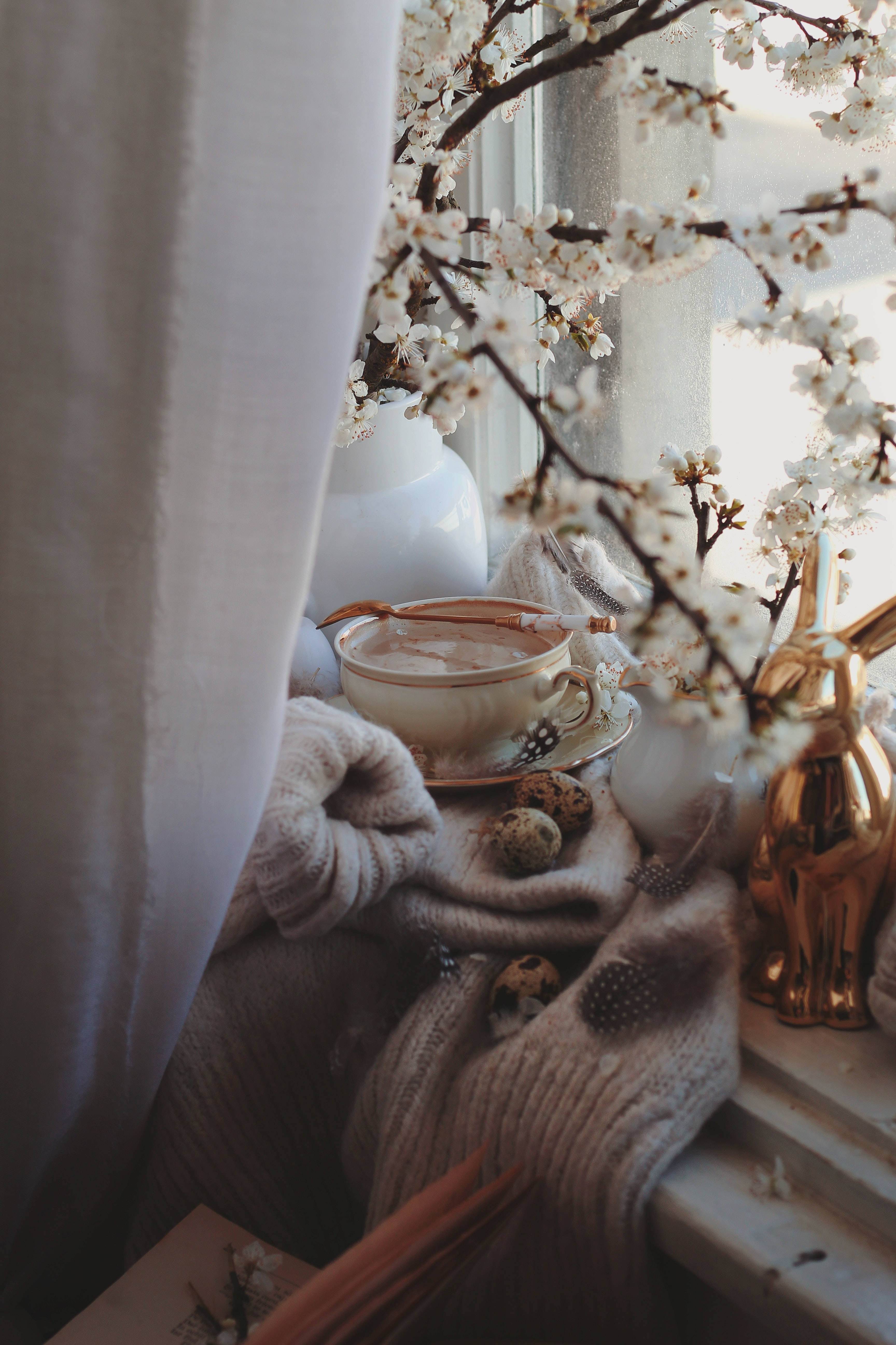 branch white flowers, white cherry branches, cozy window sill, 5K Phone Wallpaper