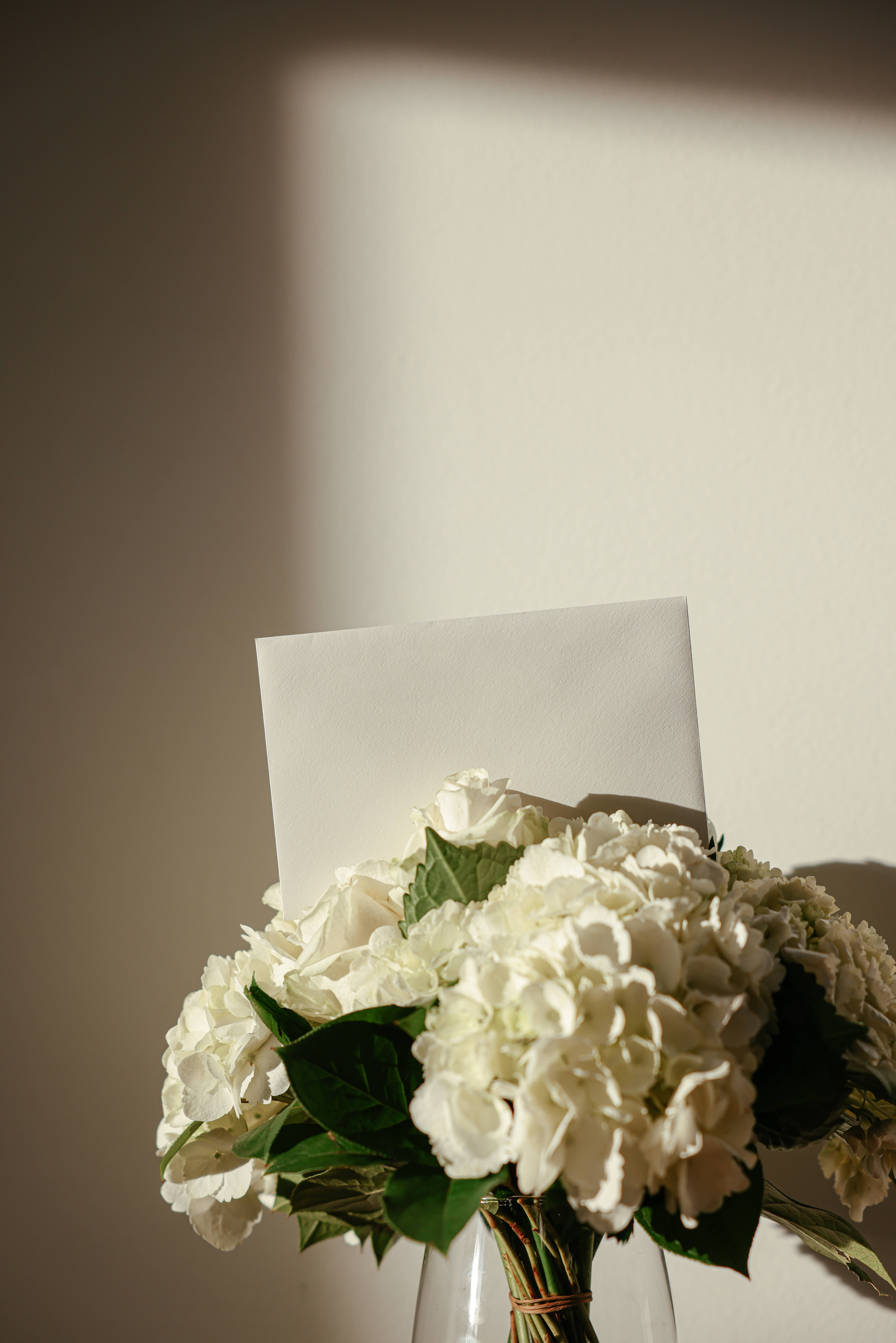 hydrangea white flowers, white hydrangeas, roses, 8K Phone Wallpaper