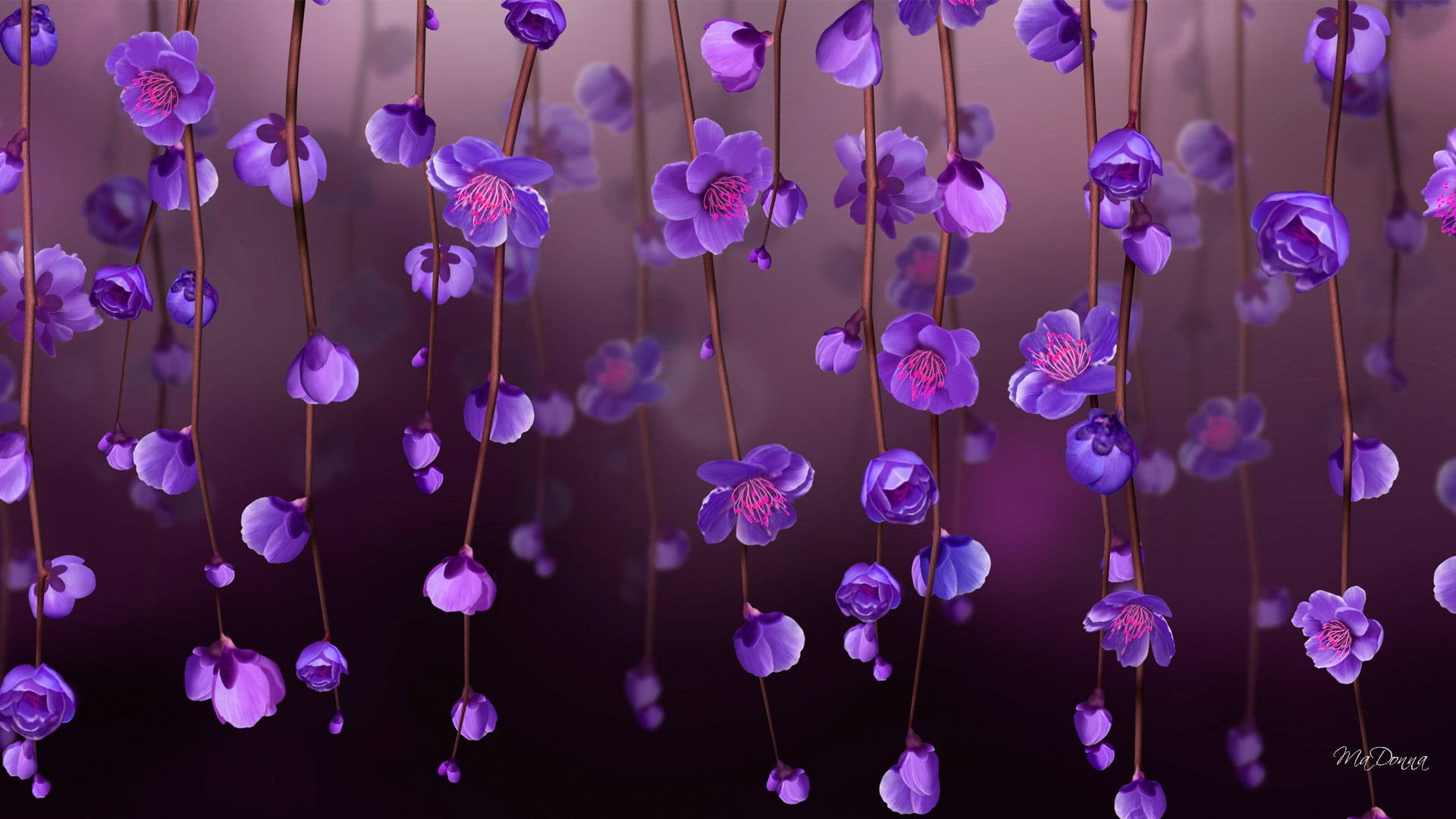 vines, purple flower, PC, Full HD Desktop Wallpaper