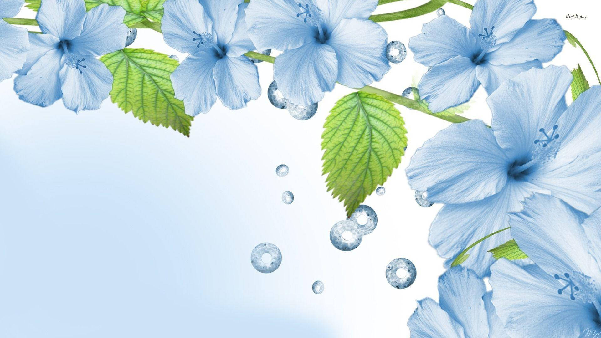 blue hibiscus flowers, green leaves, water droplets, Full HD Desktop Wallpaper