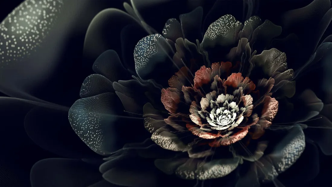 Flowers With Black