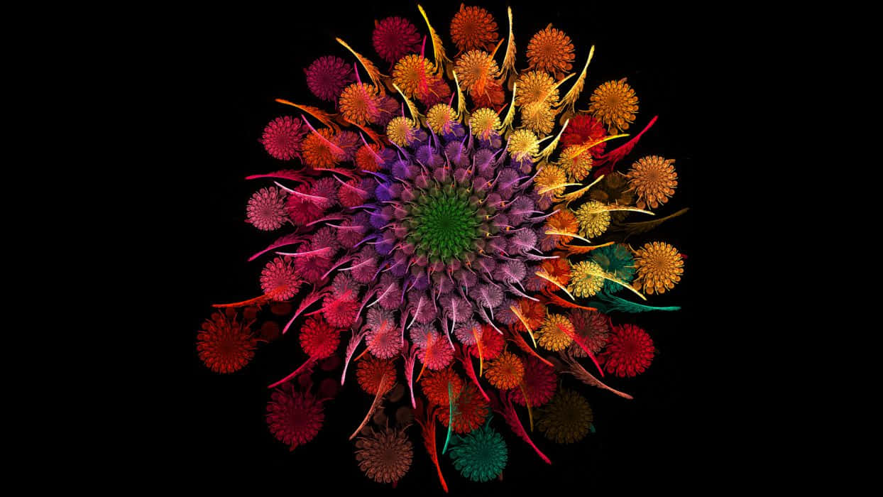 Flowers Wheel, black background, red orange yellow, SD Desktop Wallpaper