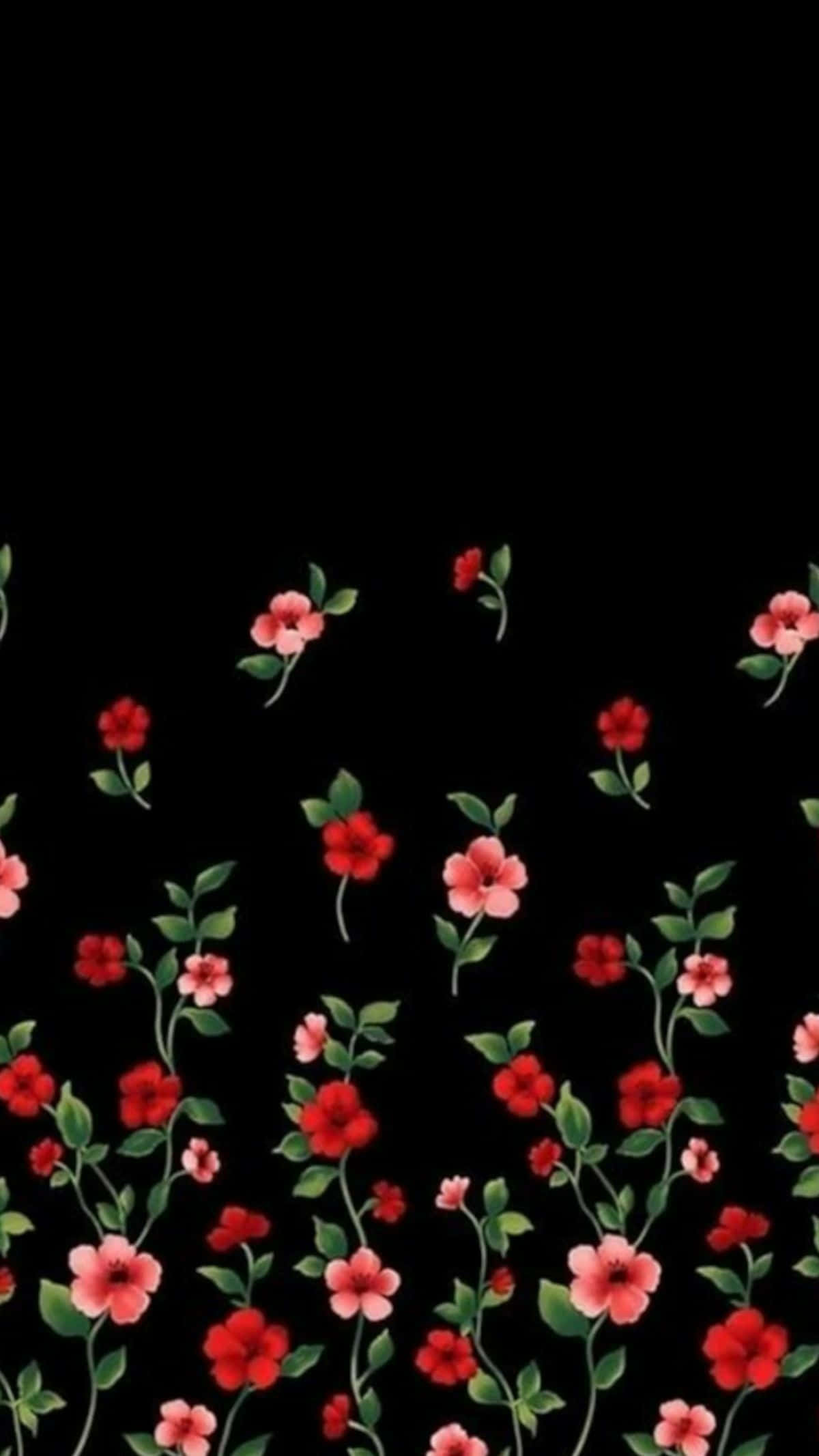 white flowers, black flowers, vibrant red flowers, Full HD Phone Wallpaper