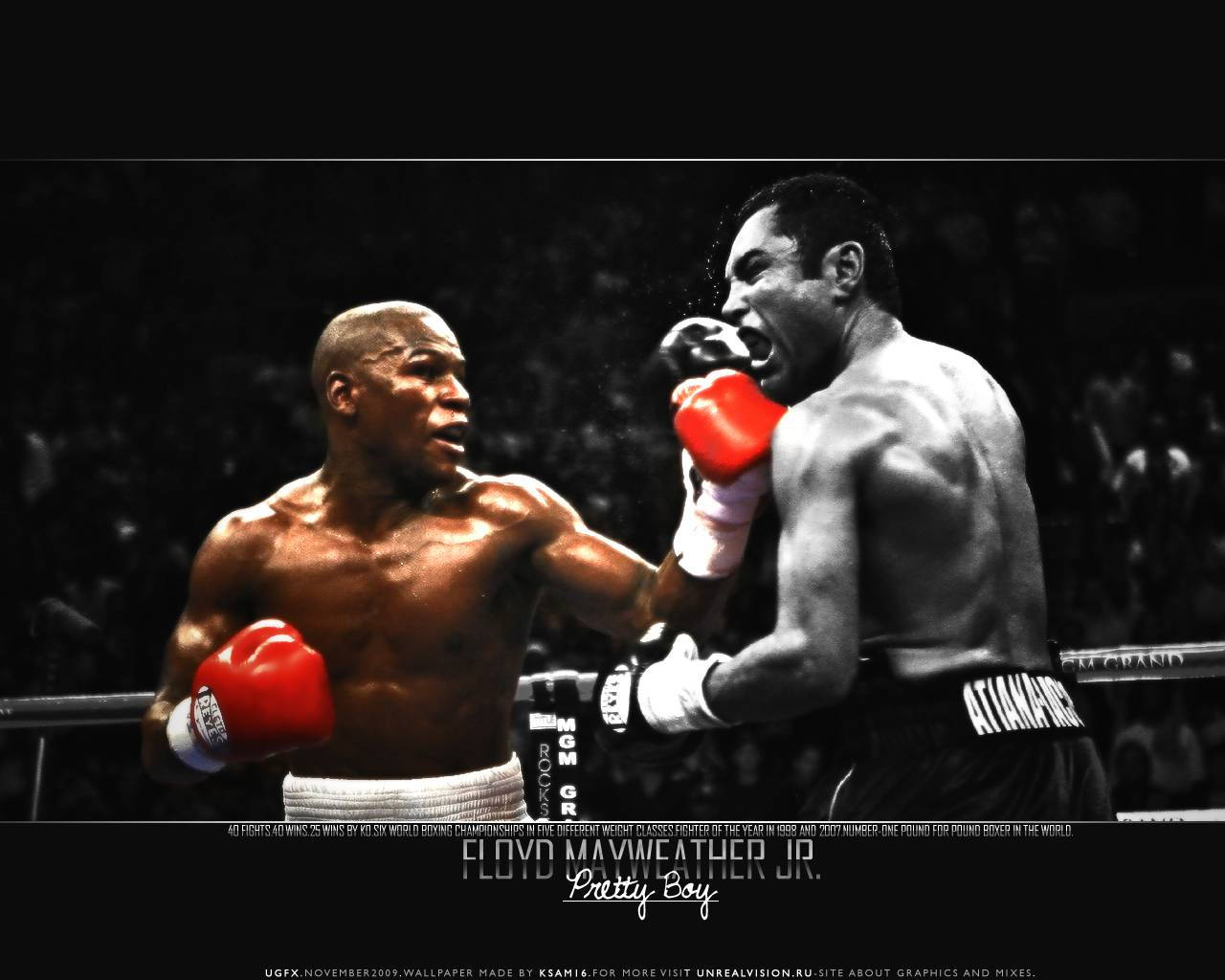 Floyd Mayweather, ring, red gloves, HD Desktop Wallpaper