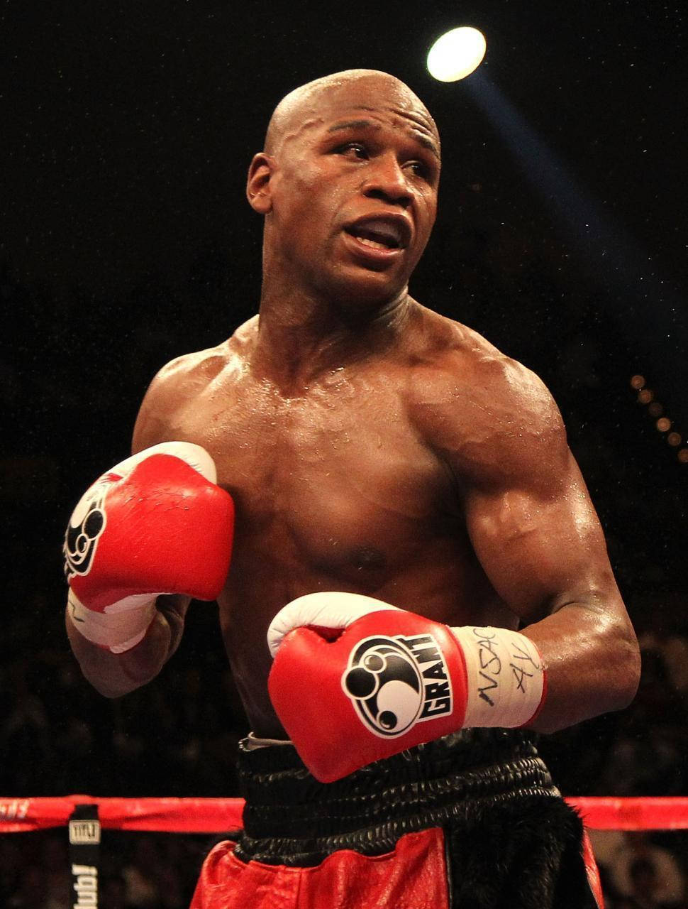 Floyd Mayweather, red gloves, trunks, HD Phone Wallpaper