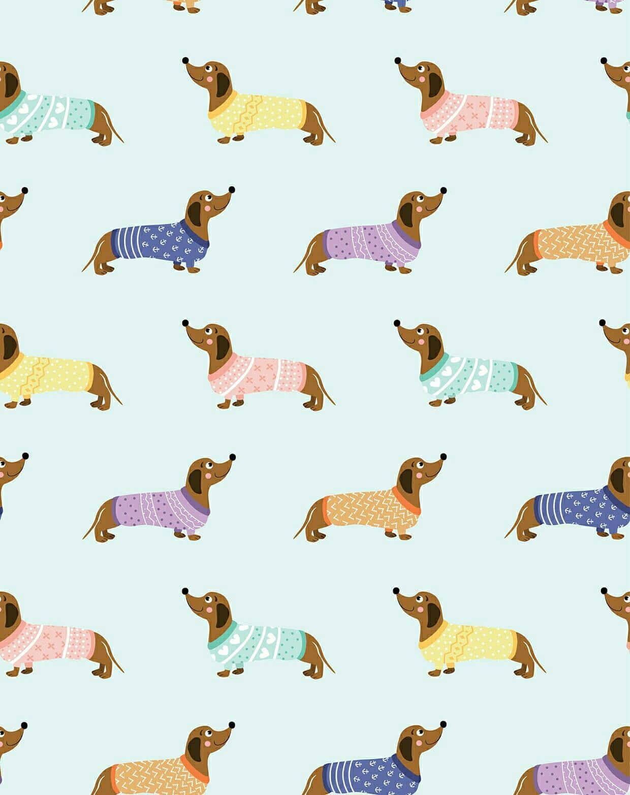 dachshund, colorful patterned sweaters, soft mint background, HD Phone Wallpaper