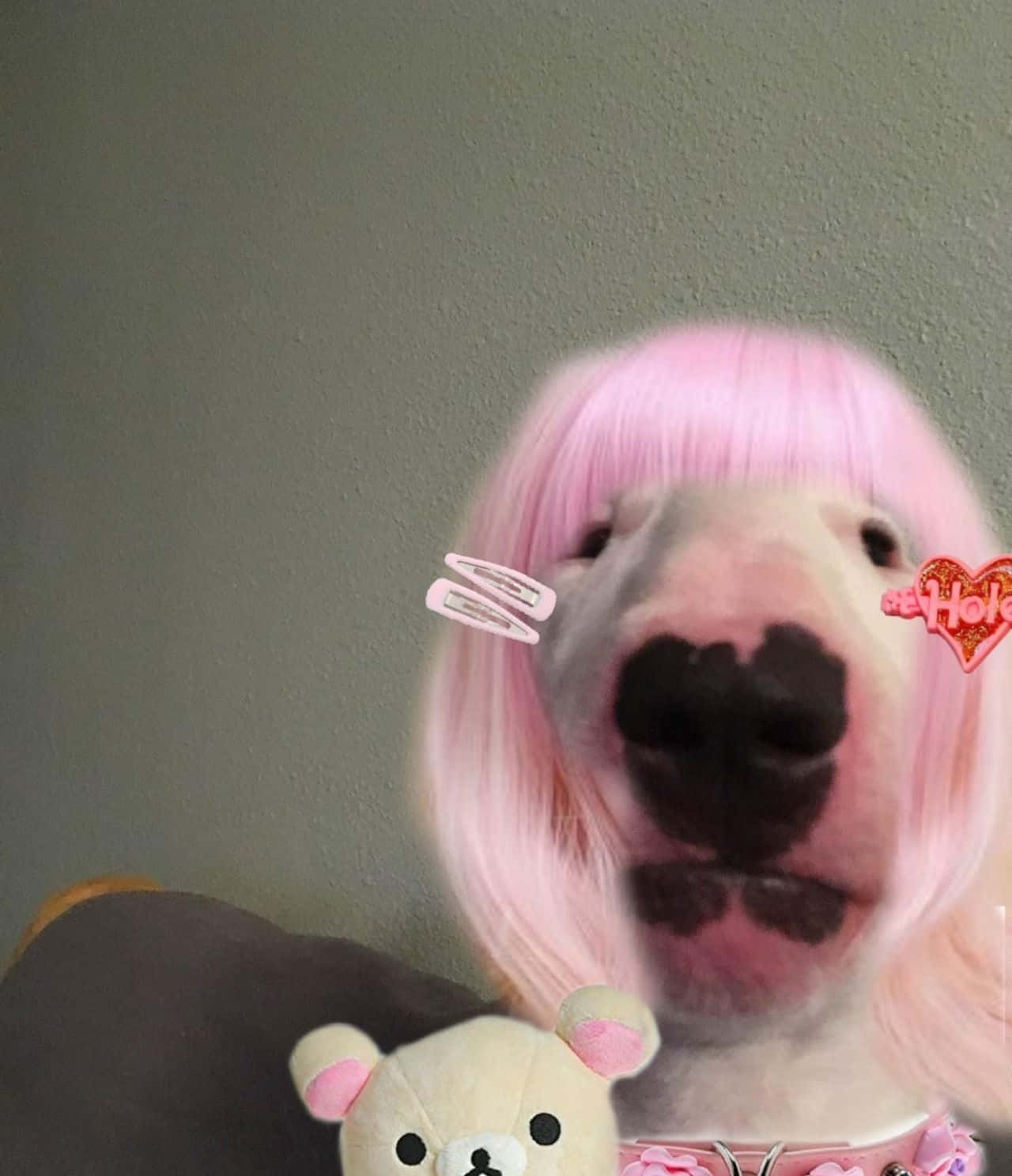 pink wig, heart-shaped nose accessory, plush toy, HD Phone Wallpaper