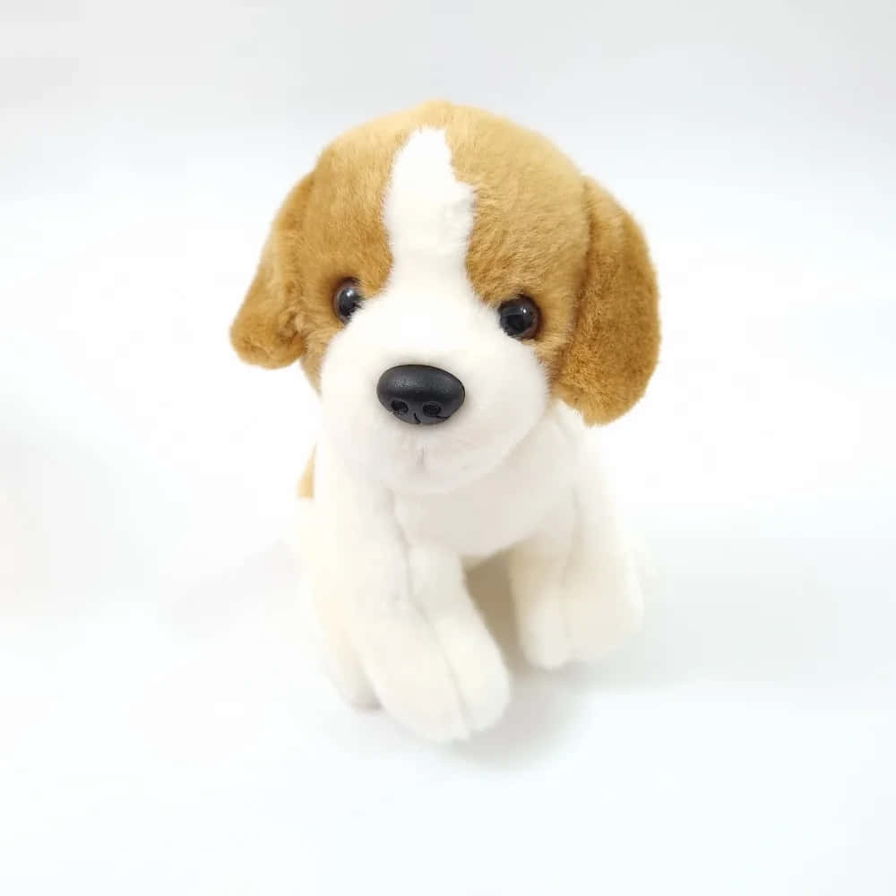 plush beagle puppy, brown and white, upright, SD Desktop Wallpaper