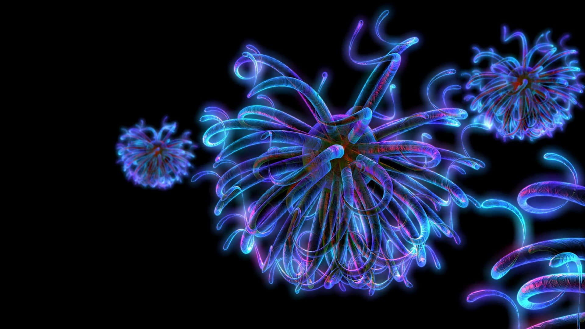 neon blue, purple, fractal-like organisms, Full HD Desktop Wallpaper