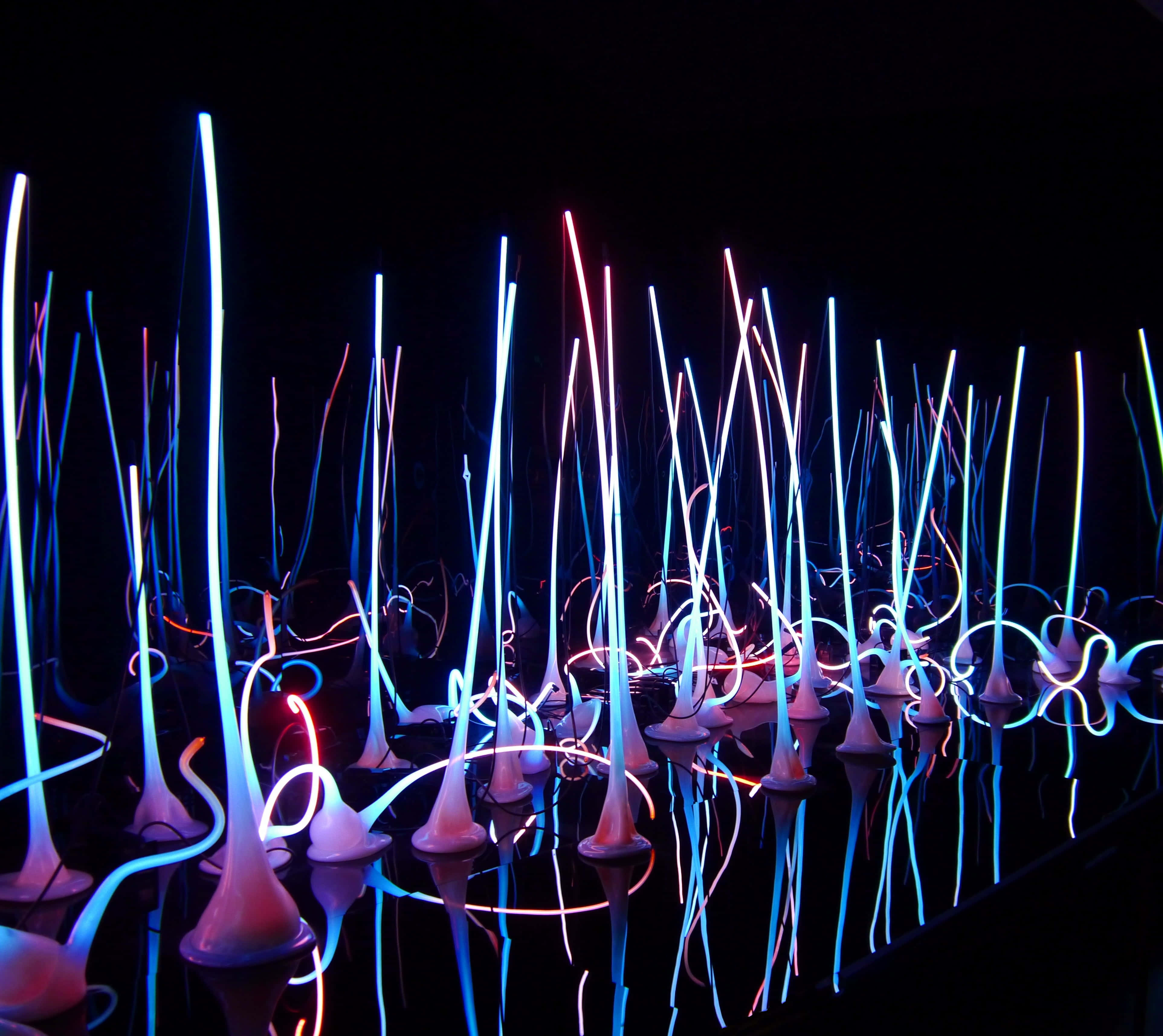 neon-blue, pink, glass sculptures, 4K Desktop Wallpaper