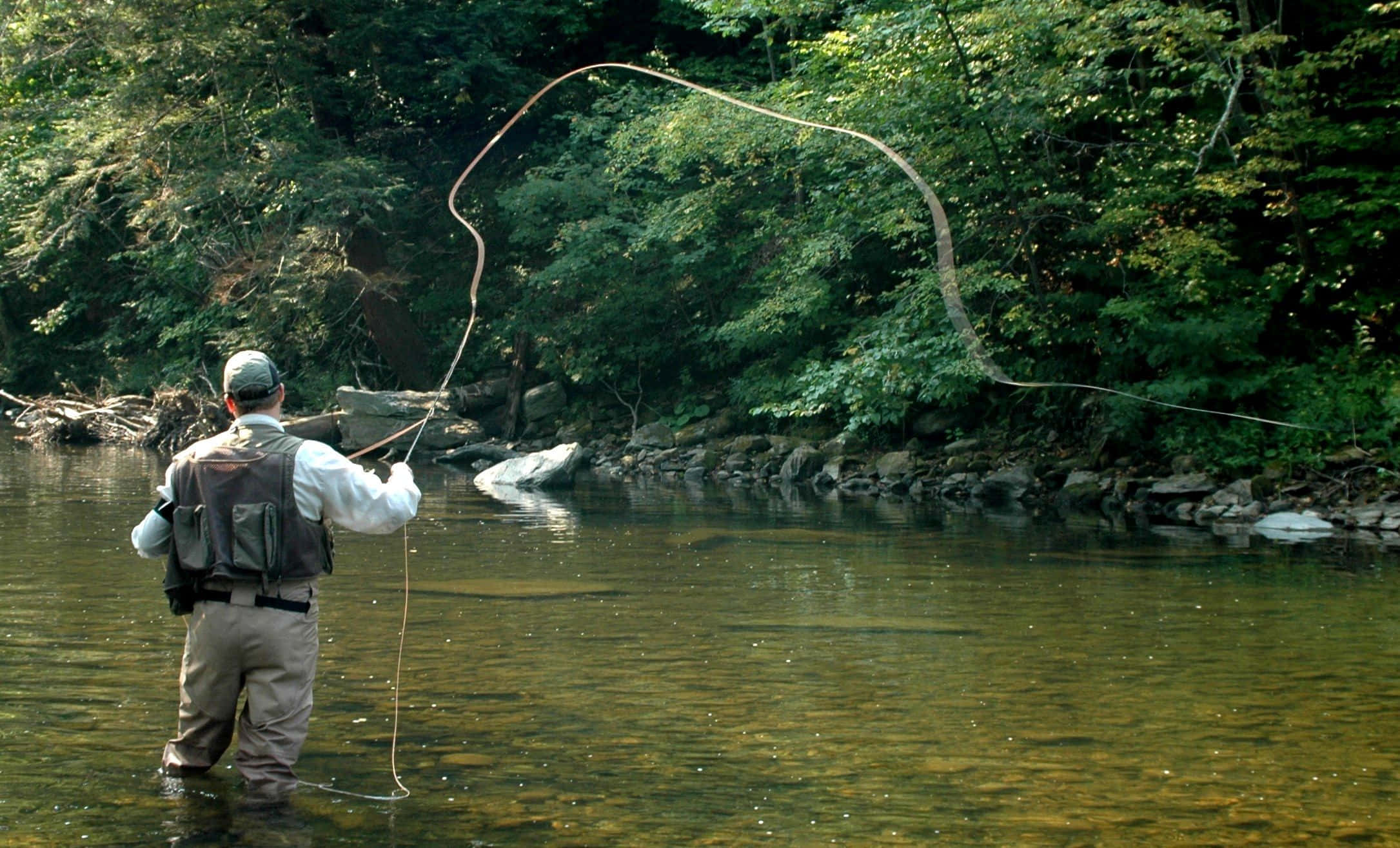 fly fishing, sunlit forest river, lush green trees, Full HD Desktop Wallpaper