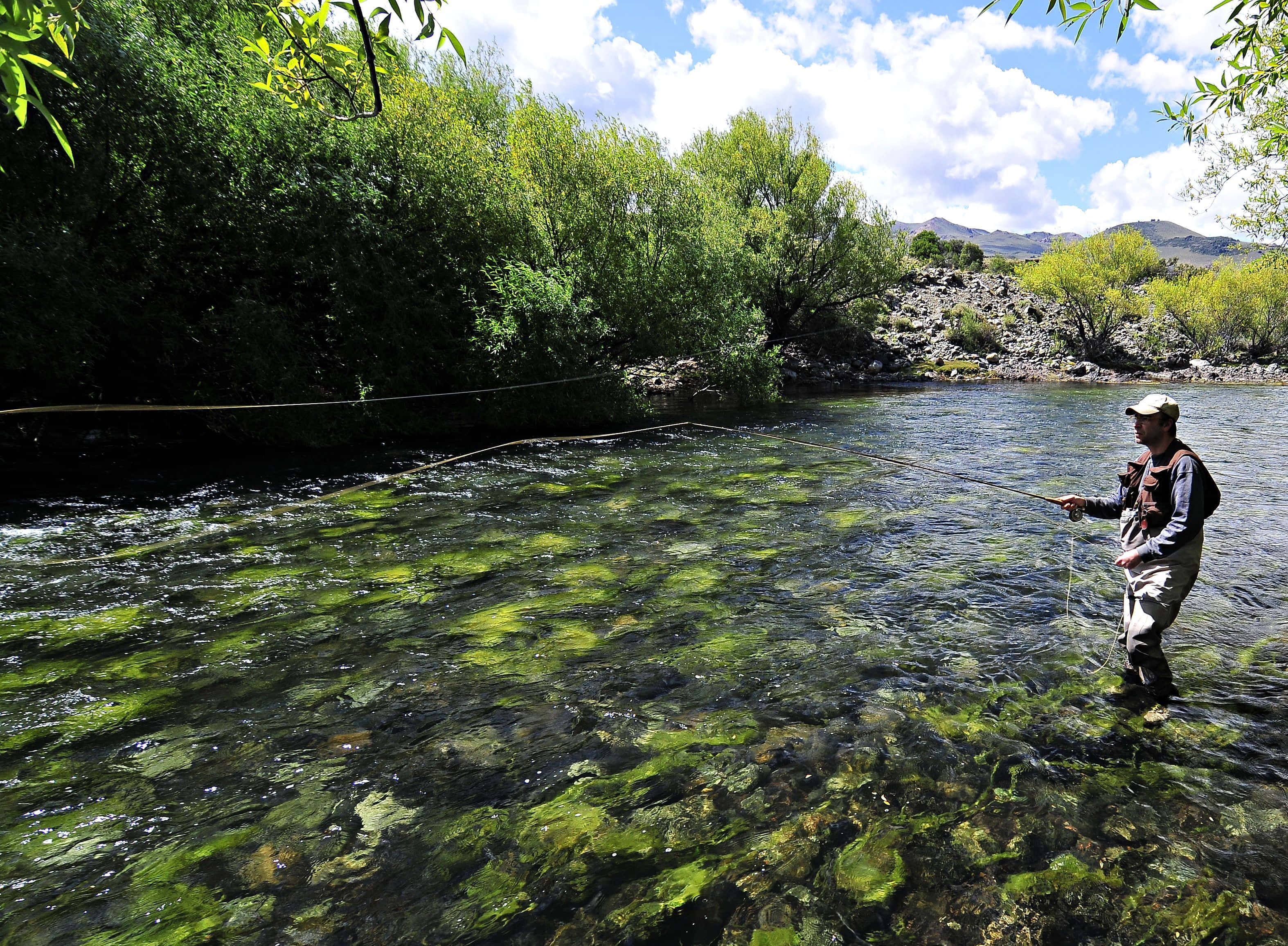 fly fishing, clear waters, algae-dotted waters, 2K Desktop Wallpaper