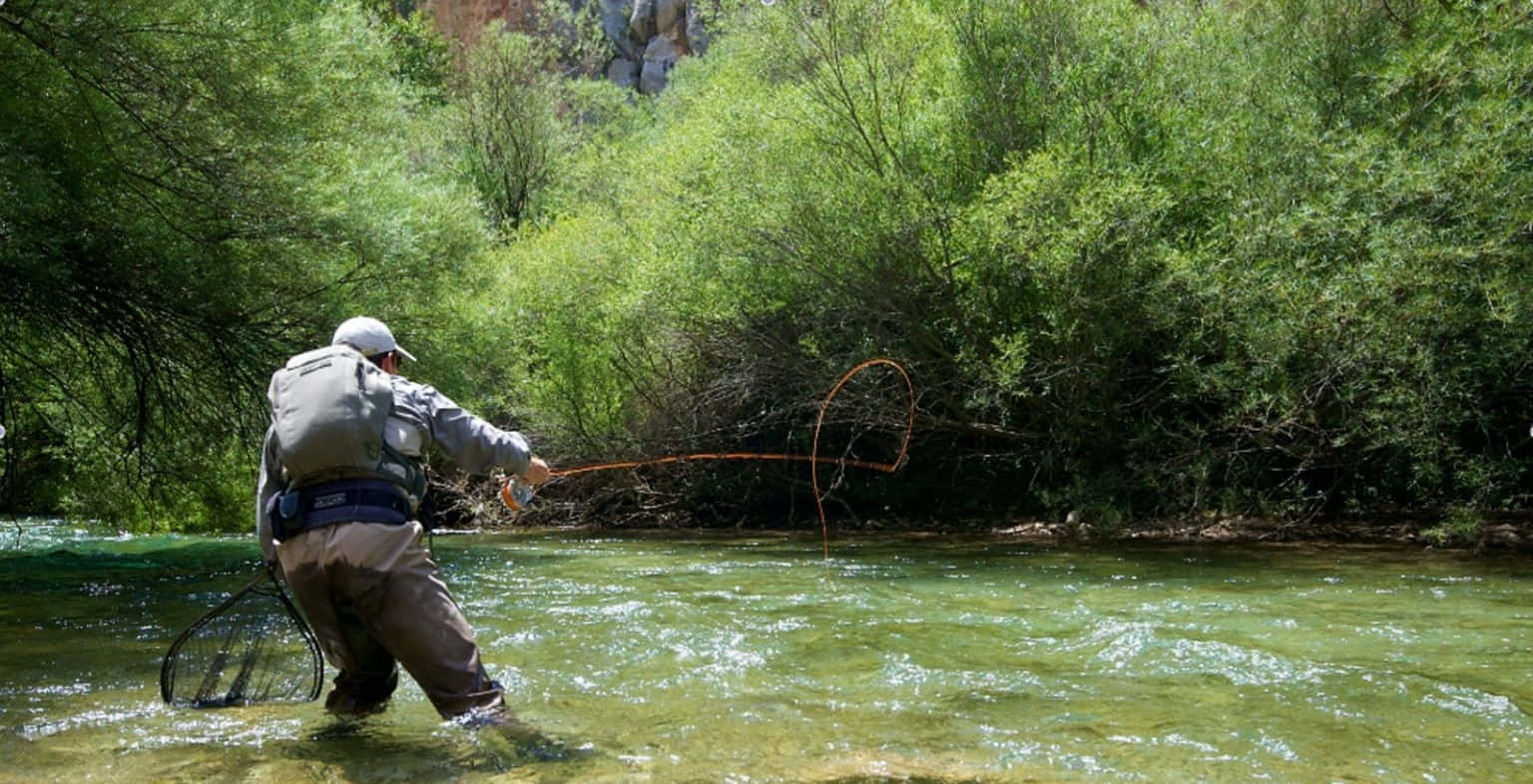 fly fishing, fly fisherman, clear green water, HD Desktop Wallpaper