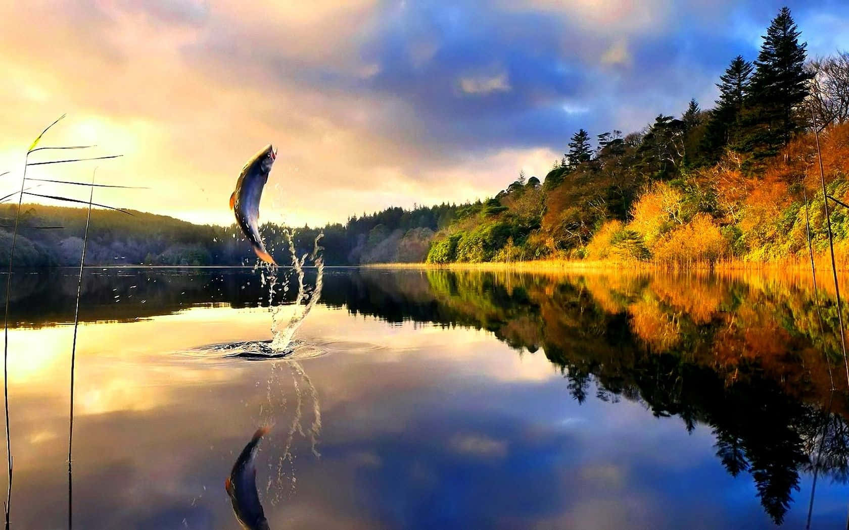 fly fishing, calm lake, golden hour, HD Desktop Wallpaper