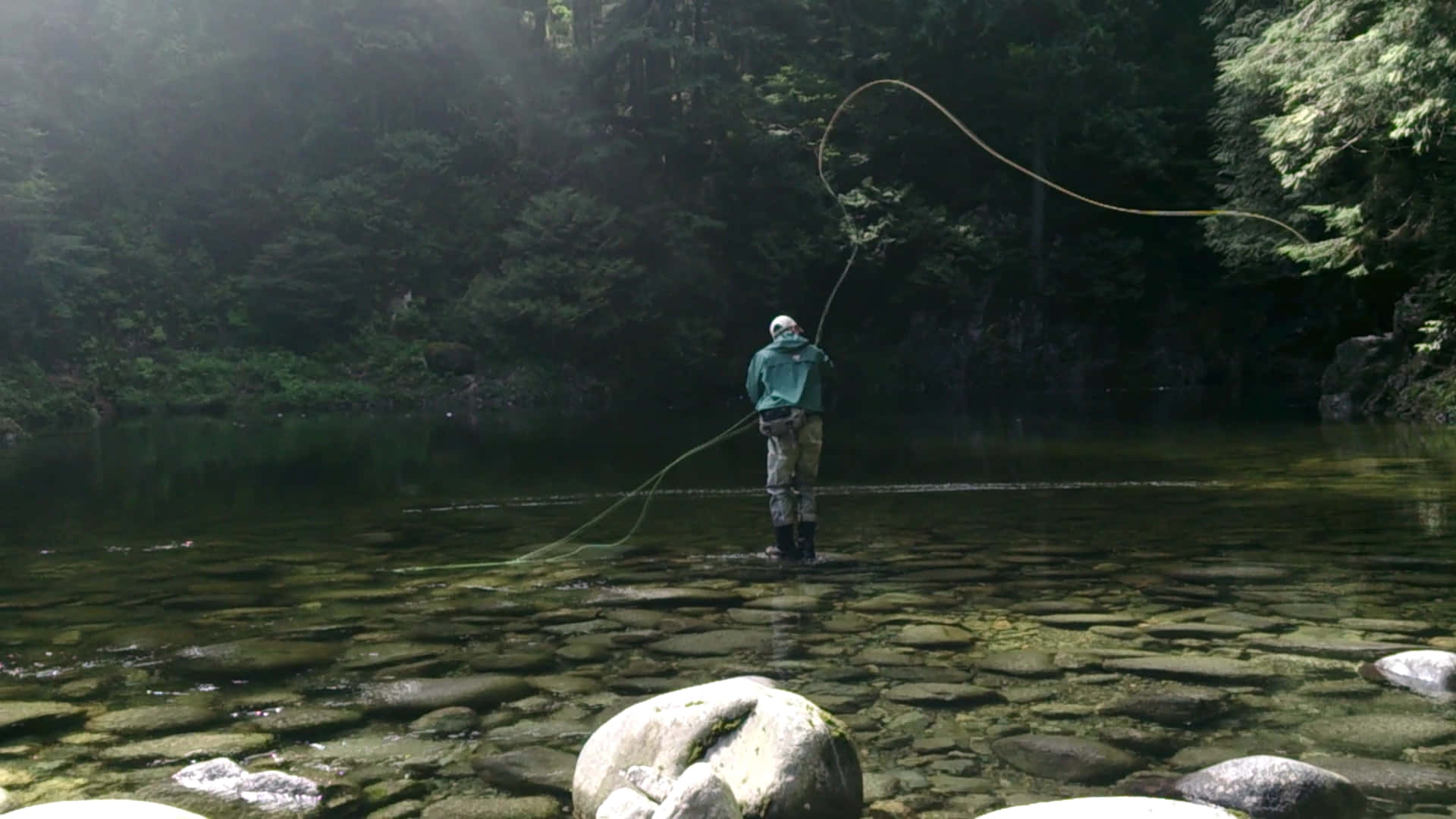 fly fishing, sunlit forest stream, clear water, Full HD Desktop Wallpaper