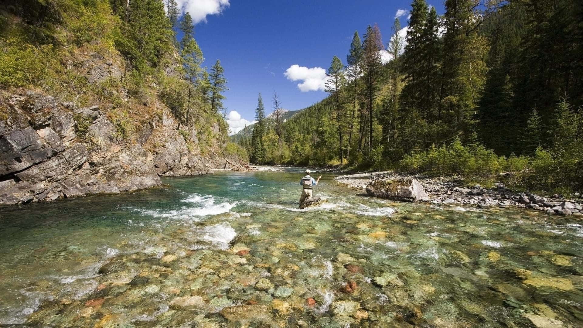 fly fishing, mountain river, evergreen forests, Full HD Desktop Wallpaper