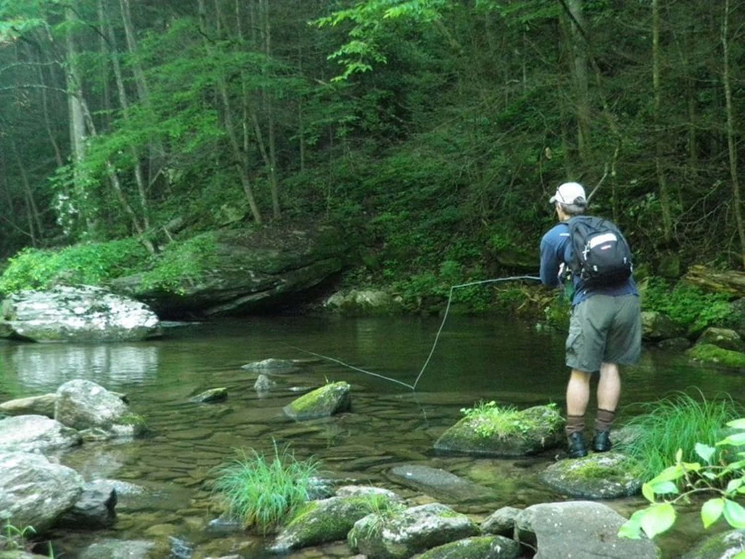 fly fishing, mossy rocks, clear forest stream, HD Desktop Wallpaper