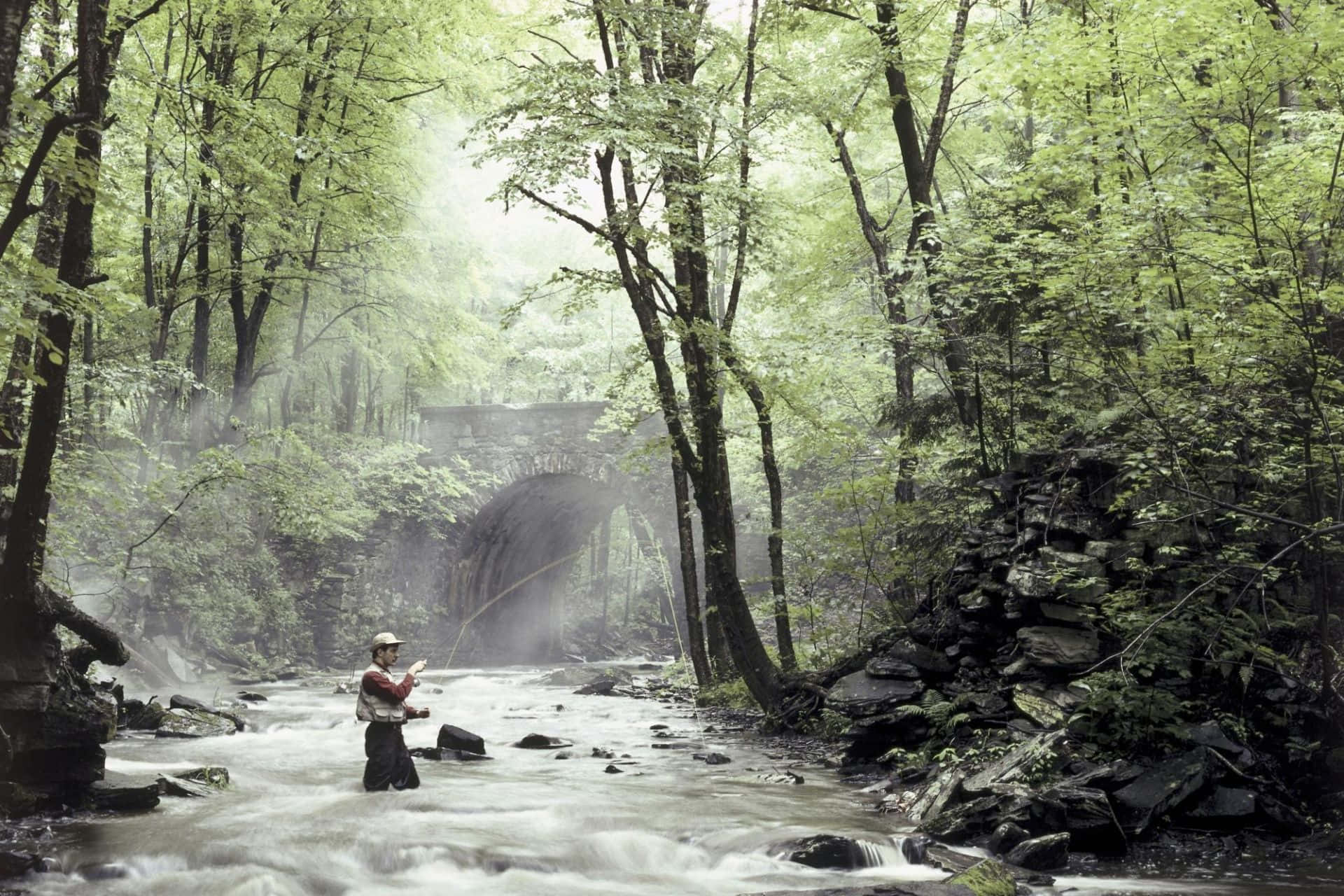 fly fishing, misty forest stream, ancient stone arch bridge, Full HD Desktop Wallpaper
