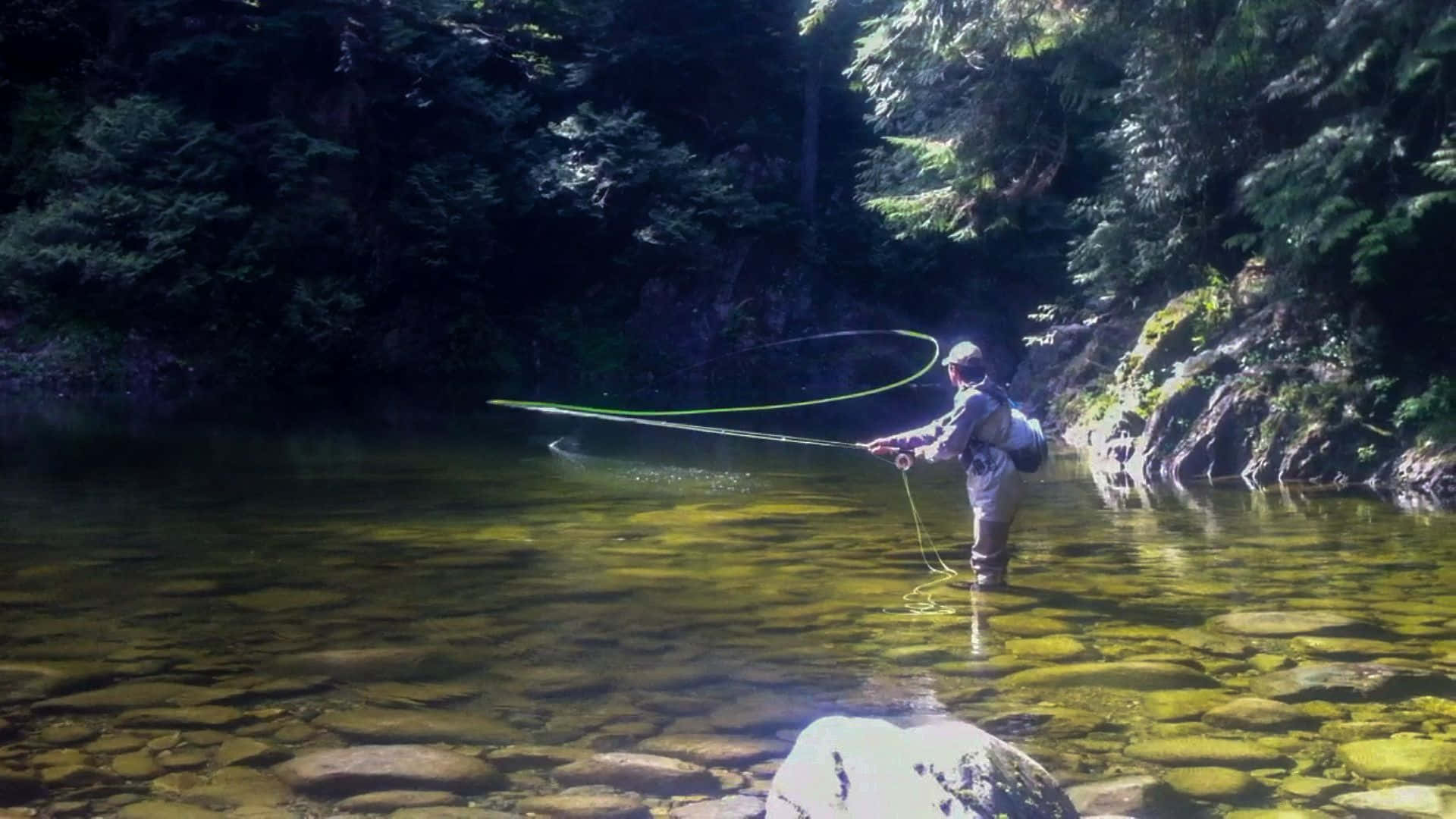 fly fishing, bright green line, sunlit clear water, Full HD Desktop Wallpaper