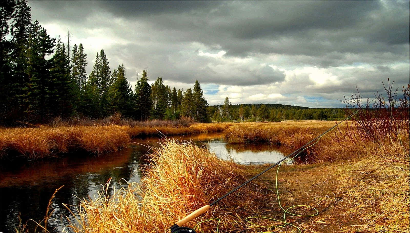 fly fishing, golden grass, calm stream, HD Desktop Wallpaper