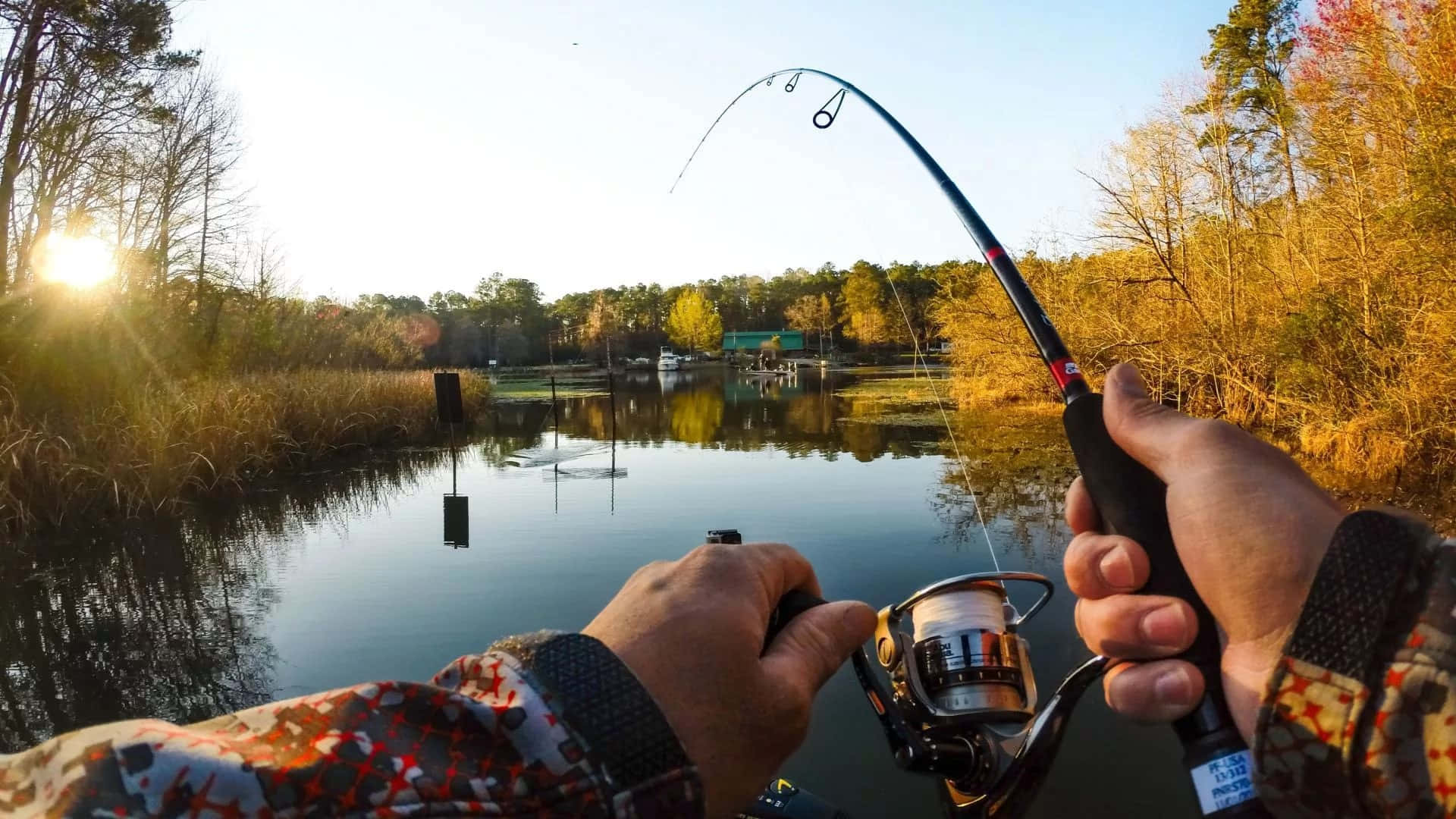 fly fishing, calm lake, golden sunrise, Full HD Desktop Wallpaper