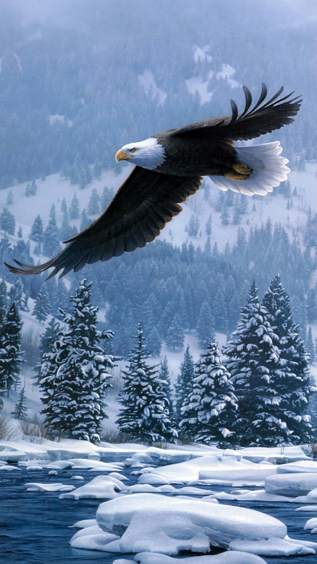 Flying Eagle, taiga forest, bald eagle, Full HD Phone Wallpaper
