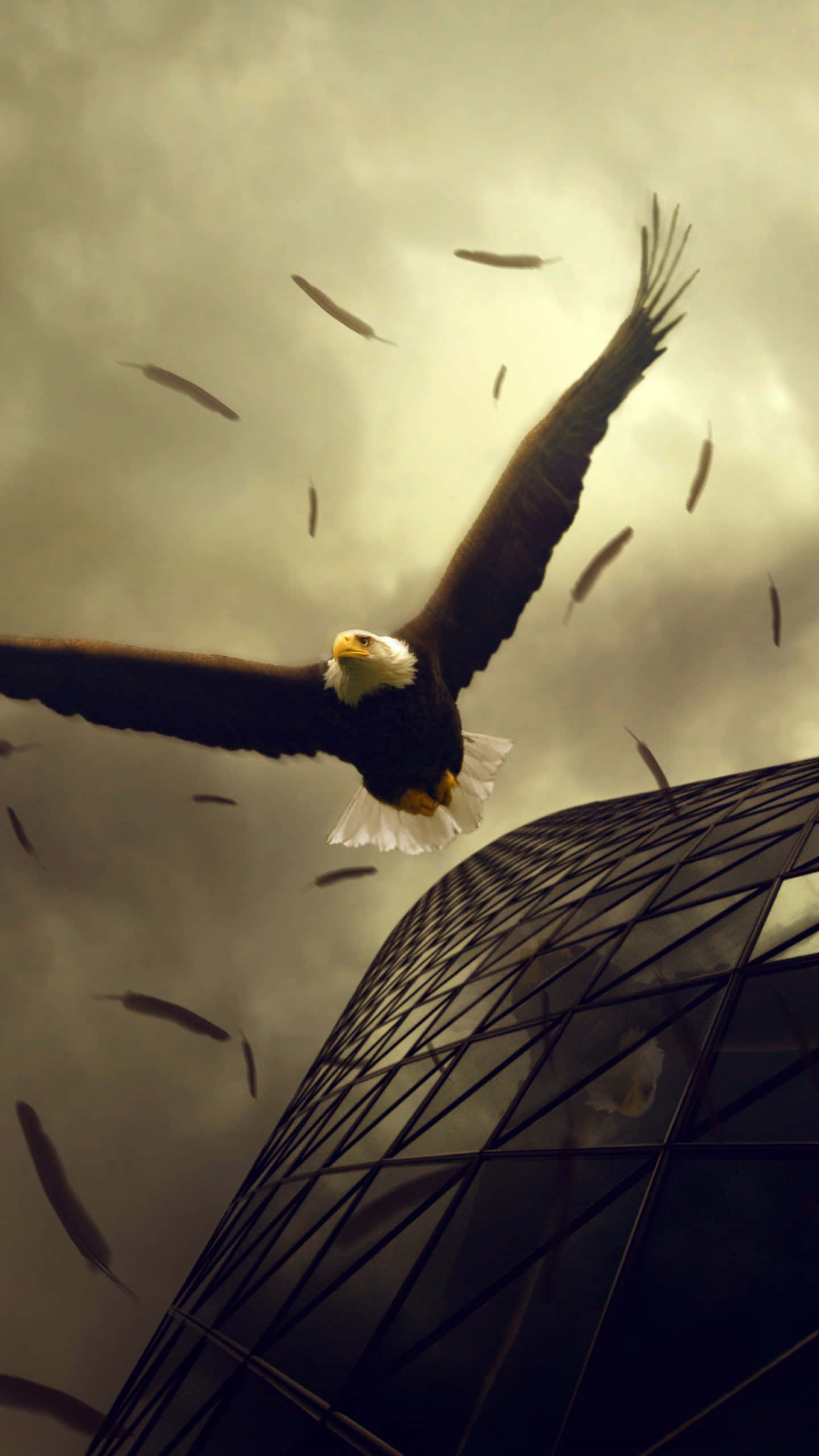 Flying Eagle, bald eagle, modern glass skyscraper, 2K Phone Wallpaper