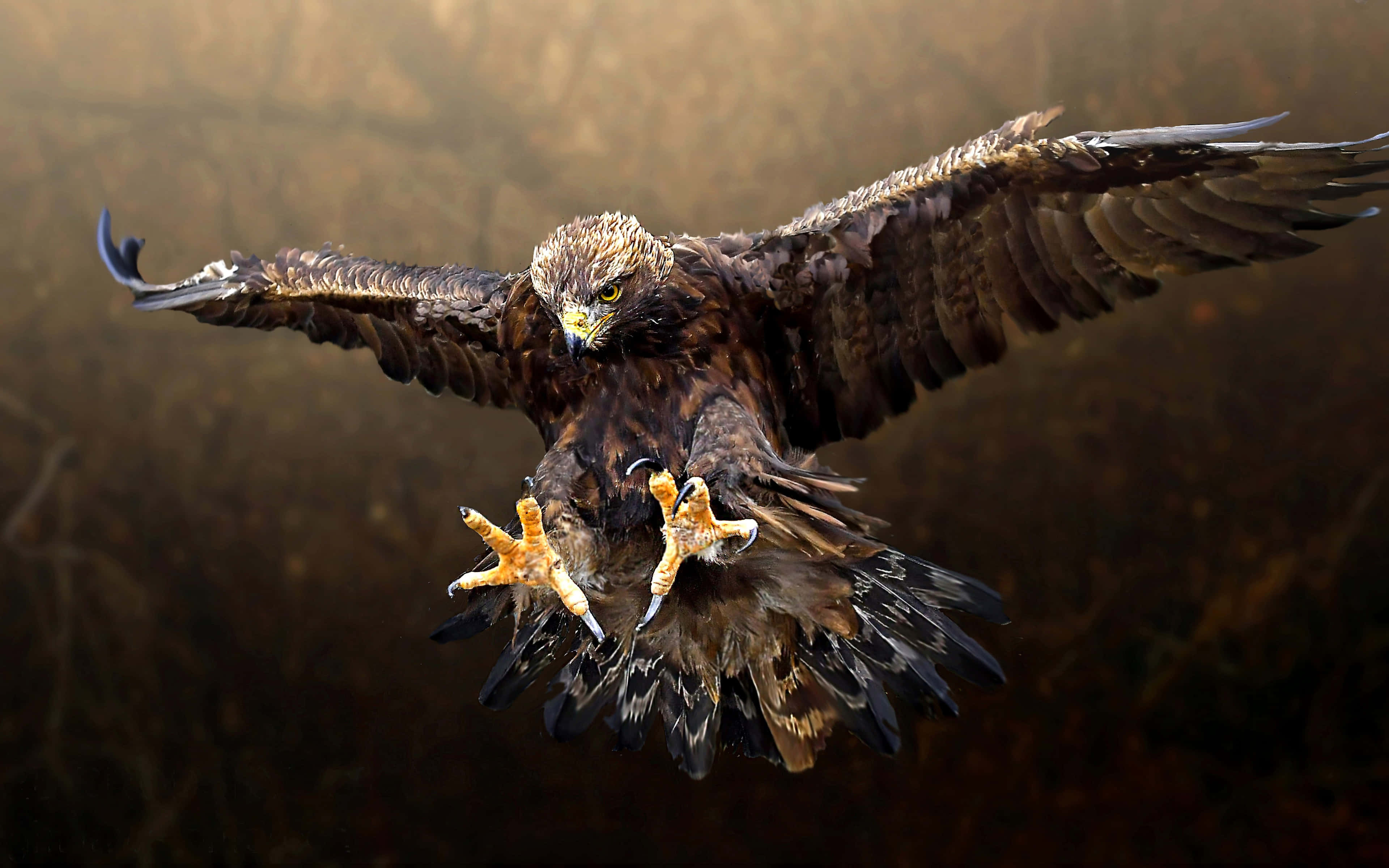 Flying Eagle, talons, hazy golden backdrop, 4K Desktop Wallpaper