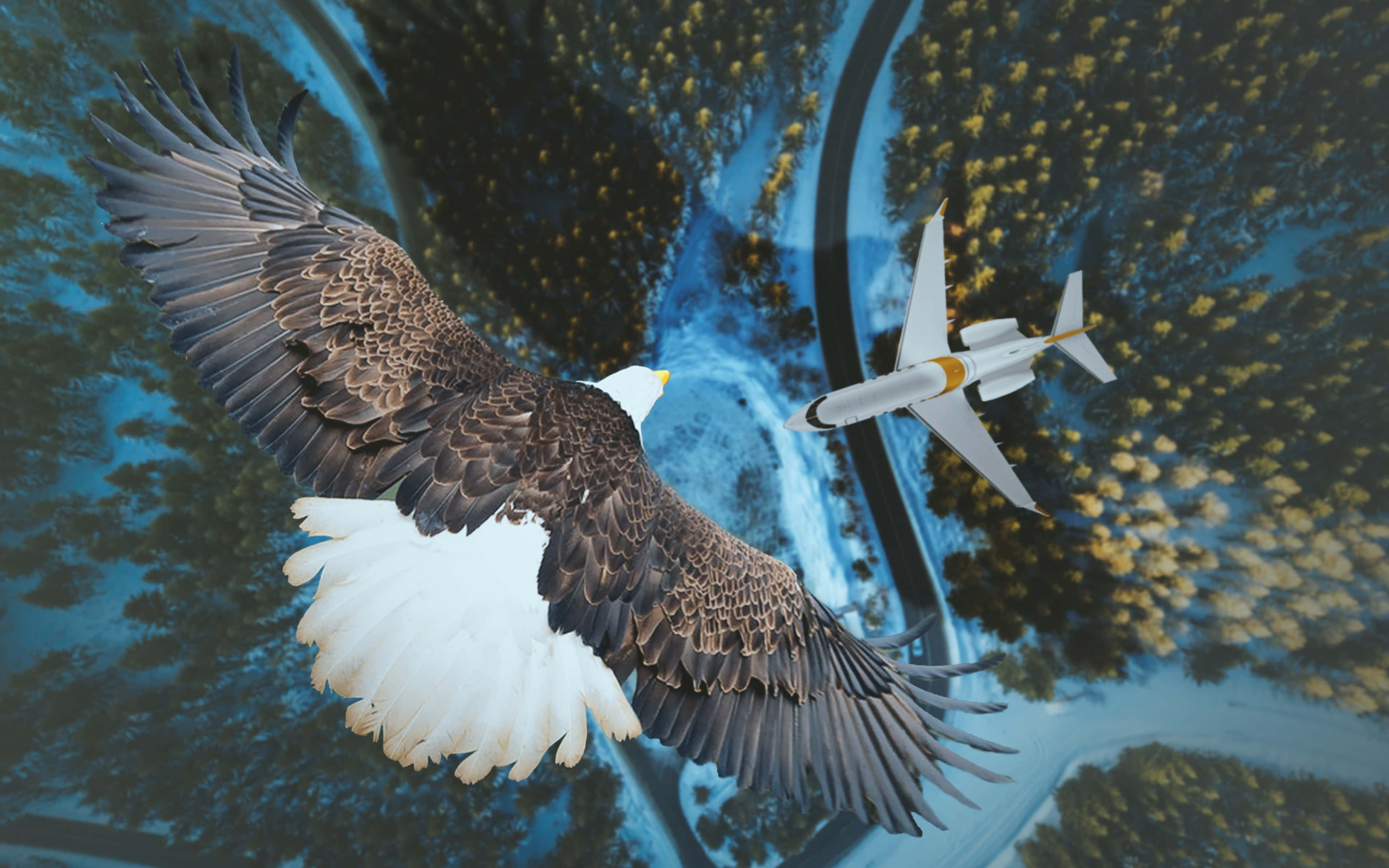 Flying Eagle, airplane, autumn forests, 4K Desktop Wallpaper