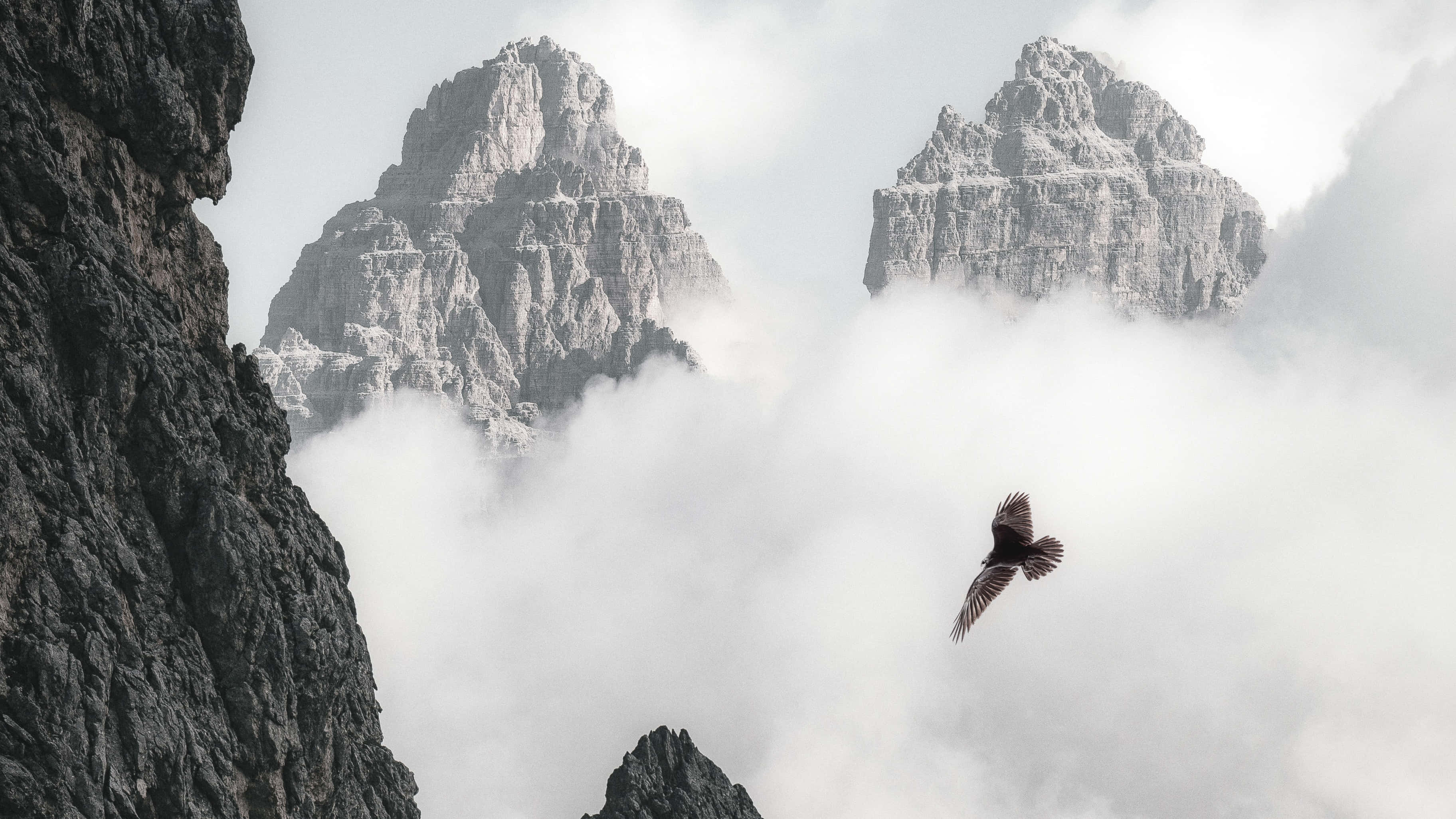 Flying Eagle, mountainous landscape, misty clouds, 2K Desktop Wallpaper