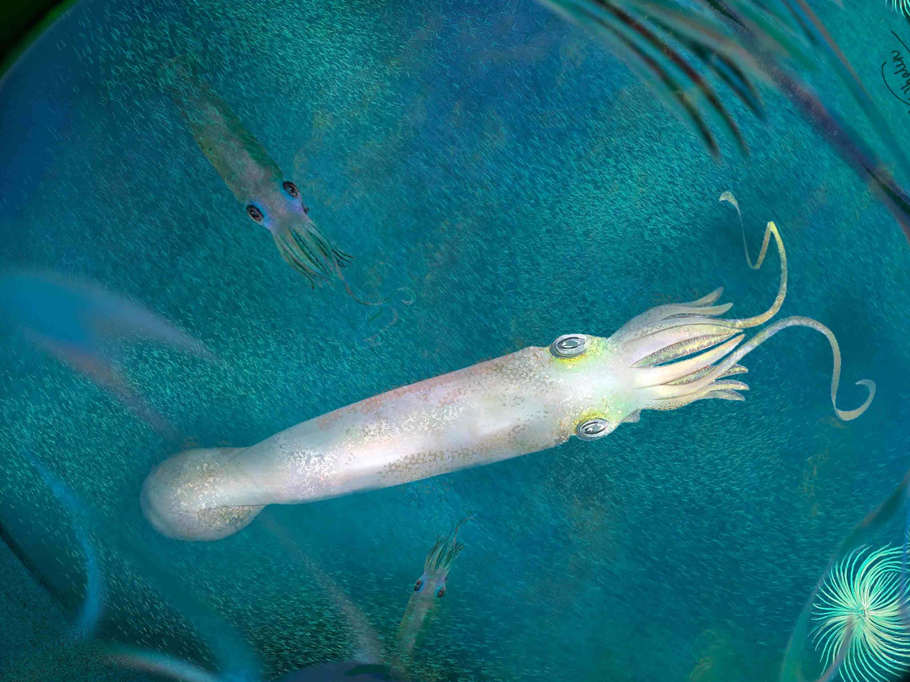Flying Squid, turquoise water, swirling particles, 2K Desktop Wallpaper