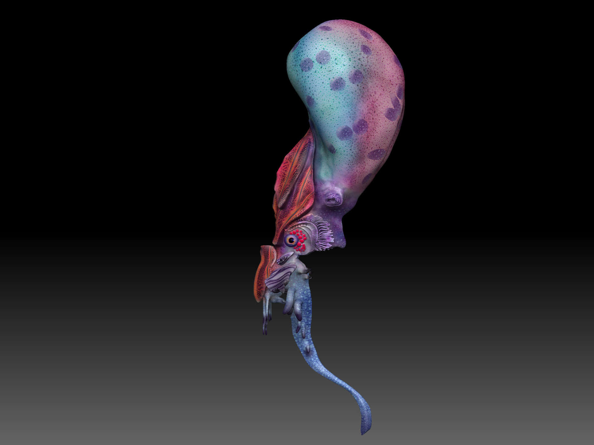 colorful flying squid, spotted teal and pink bulbous body, long blue tail, Full HD Desktop Wallpaper