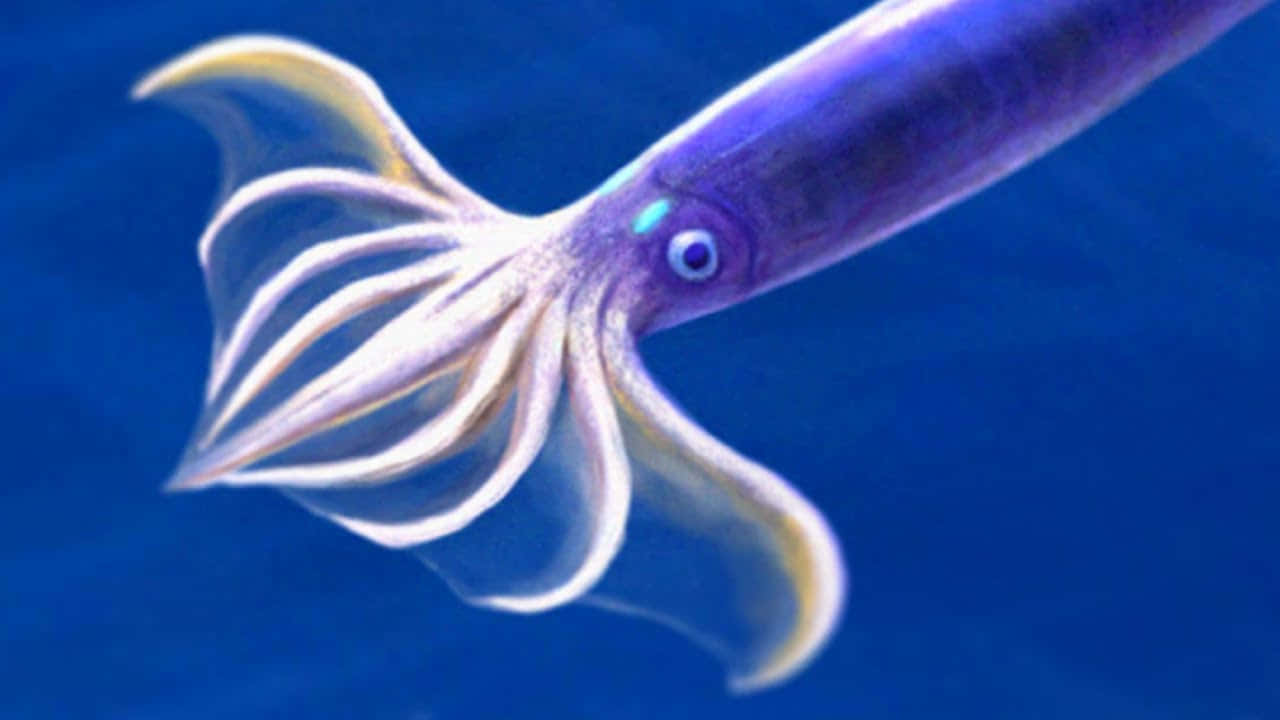 Flying Squid, vibrant purple squid, glowing blue eyes, HD Desktop Wallpaper