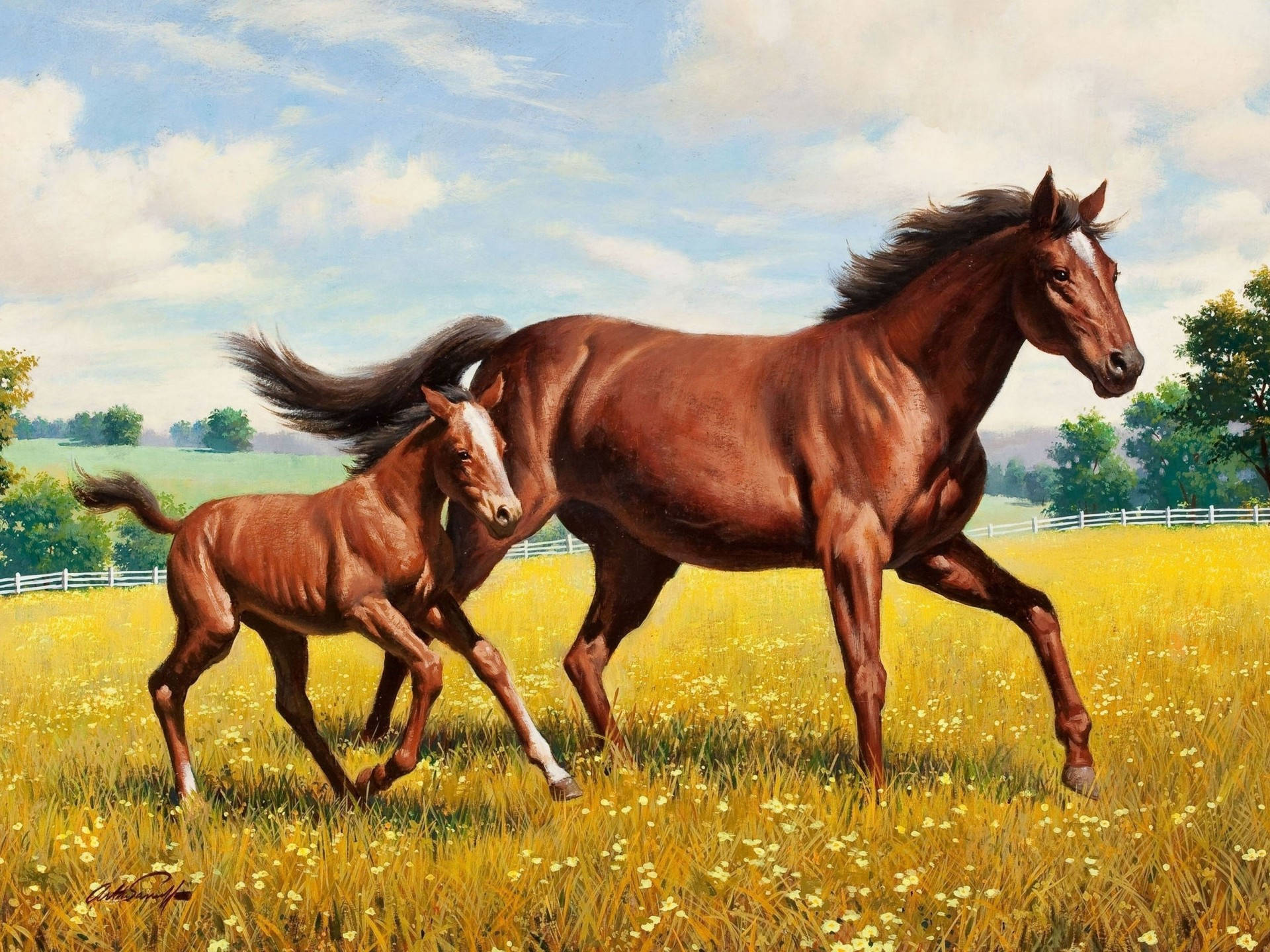 mother horse, young foal, river, Full HD Desktop Wallpaper