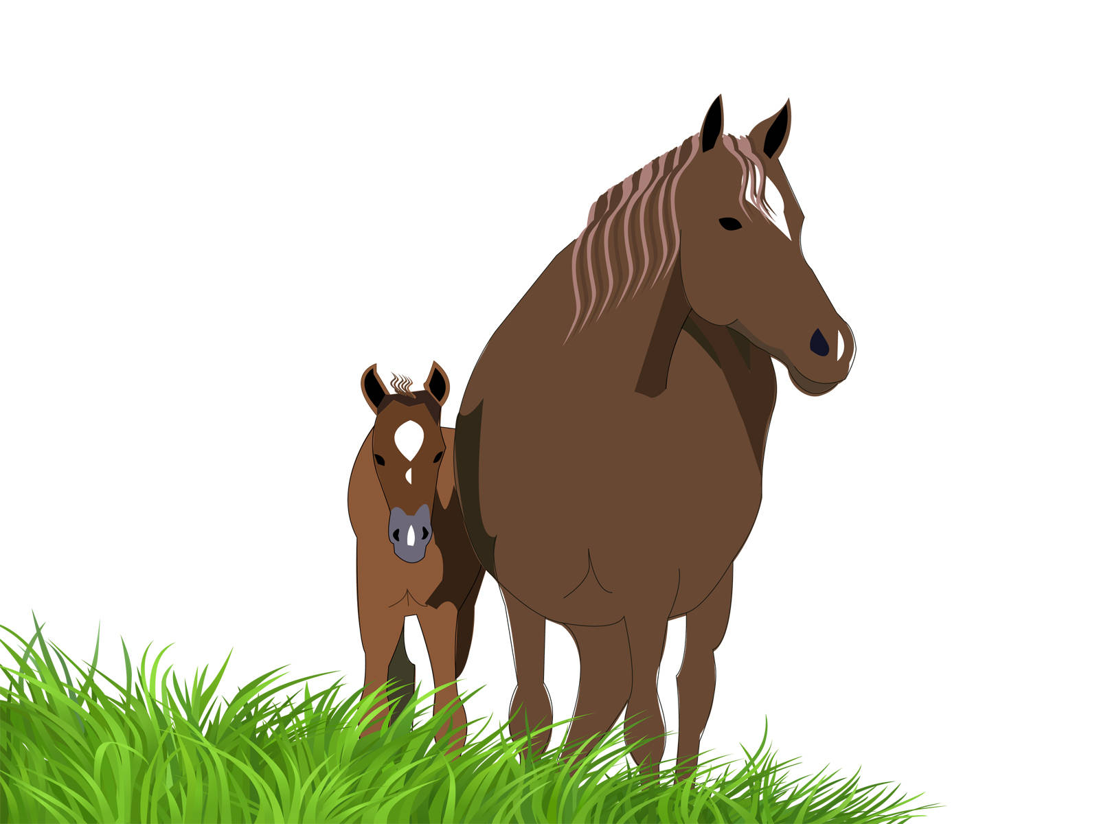 brown mare, baby foal, vibrant green grass, HD Desktop Wallpaper