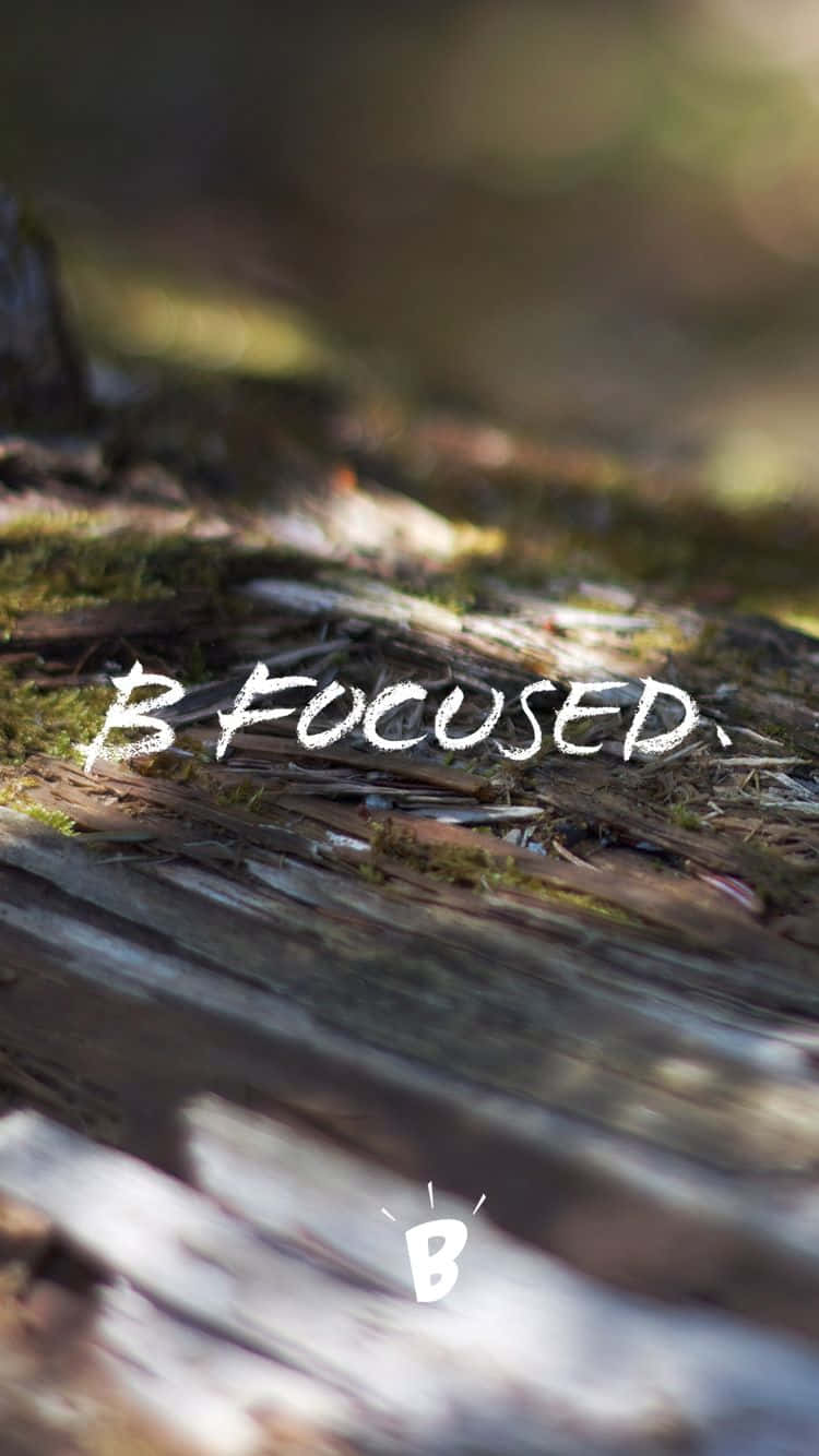 B FOCUSED, sunlight, forest canopy, HD Phone Wallpaper