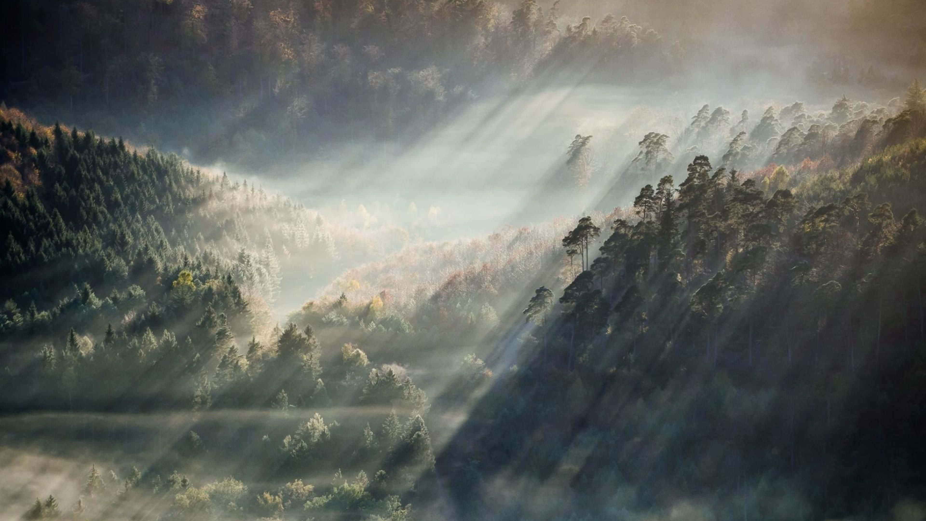 foggy aesthetic, misty forests, rolling hills, 4K Desktop Wallpaper