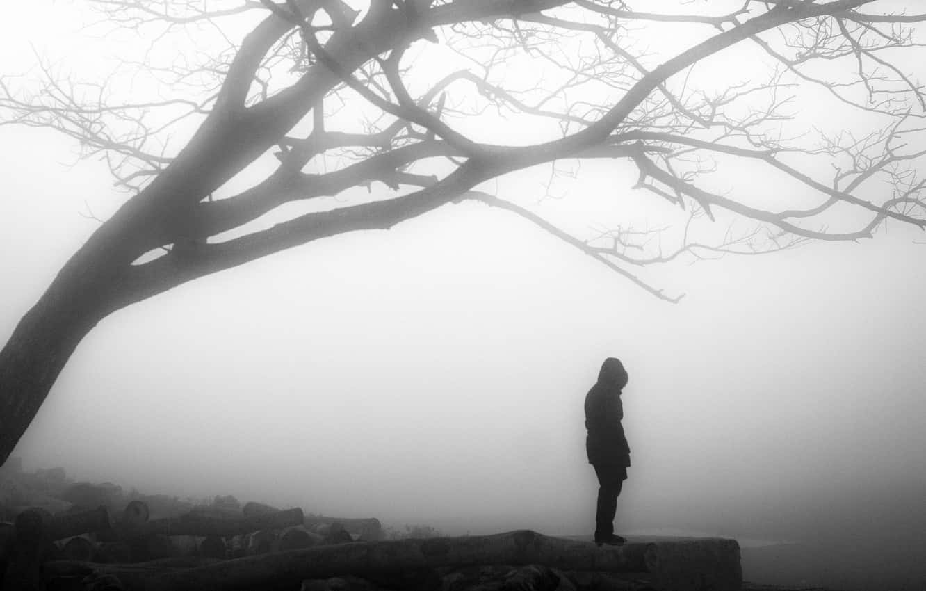 Desolate Fog Emo Man, hooded figure, bare tree, HD Desktop Wallpaper