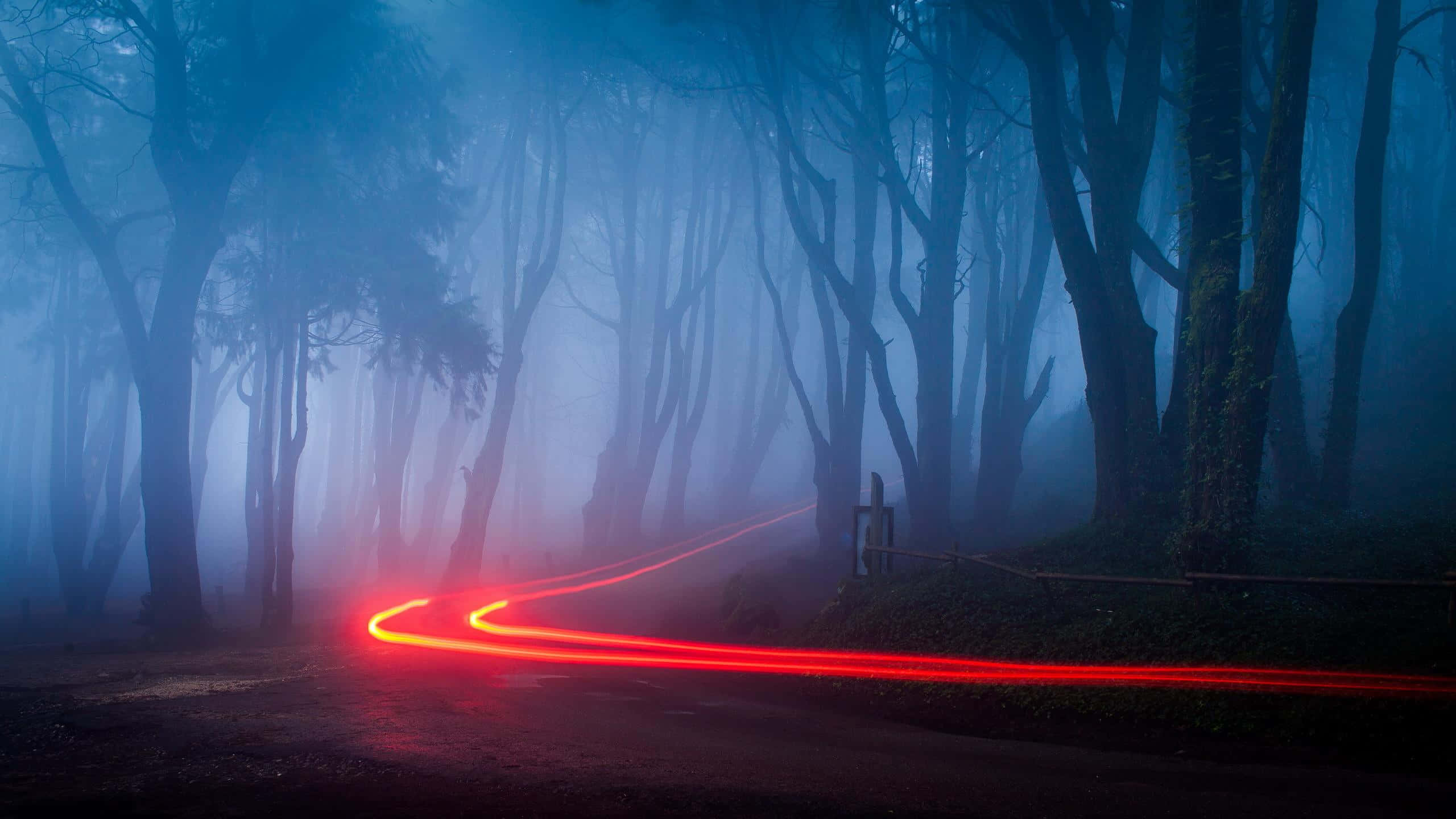 Foggy Aesthetic, Neon Red Forest, misty blue forest, 2K Desktop Wallpaper