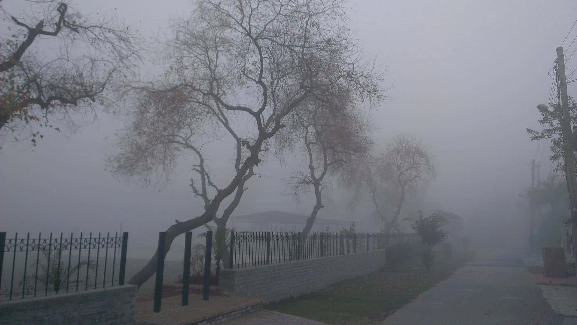 foggy landscape, misty street, bare trees, Full HD Desktop Wallpaper