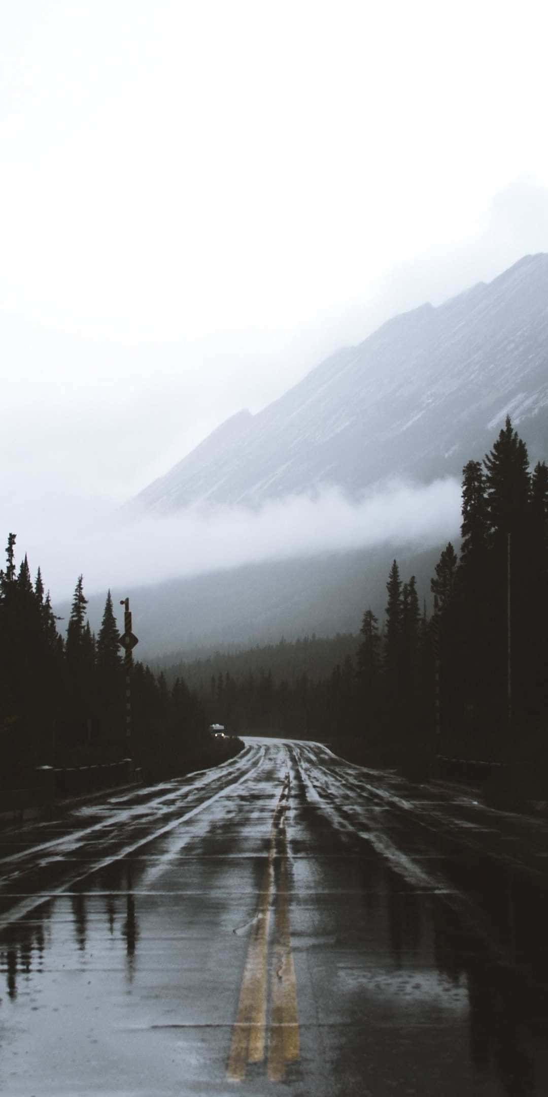 foggy aesthetic, wet mountain road, misty evergreen forests, Full HD Phone Wallpaper
