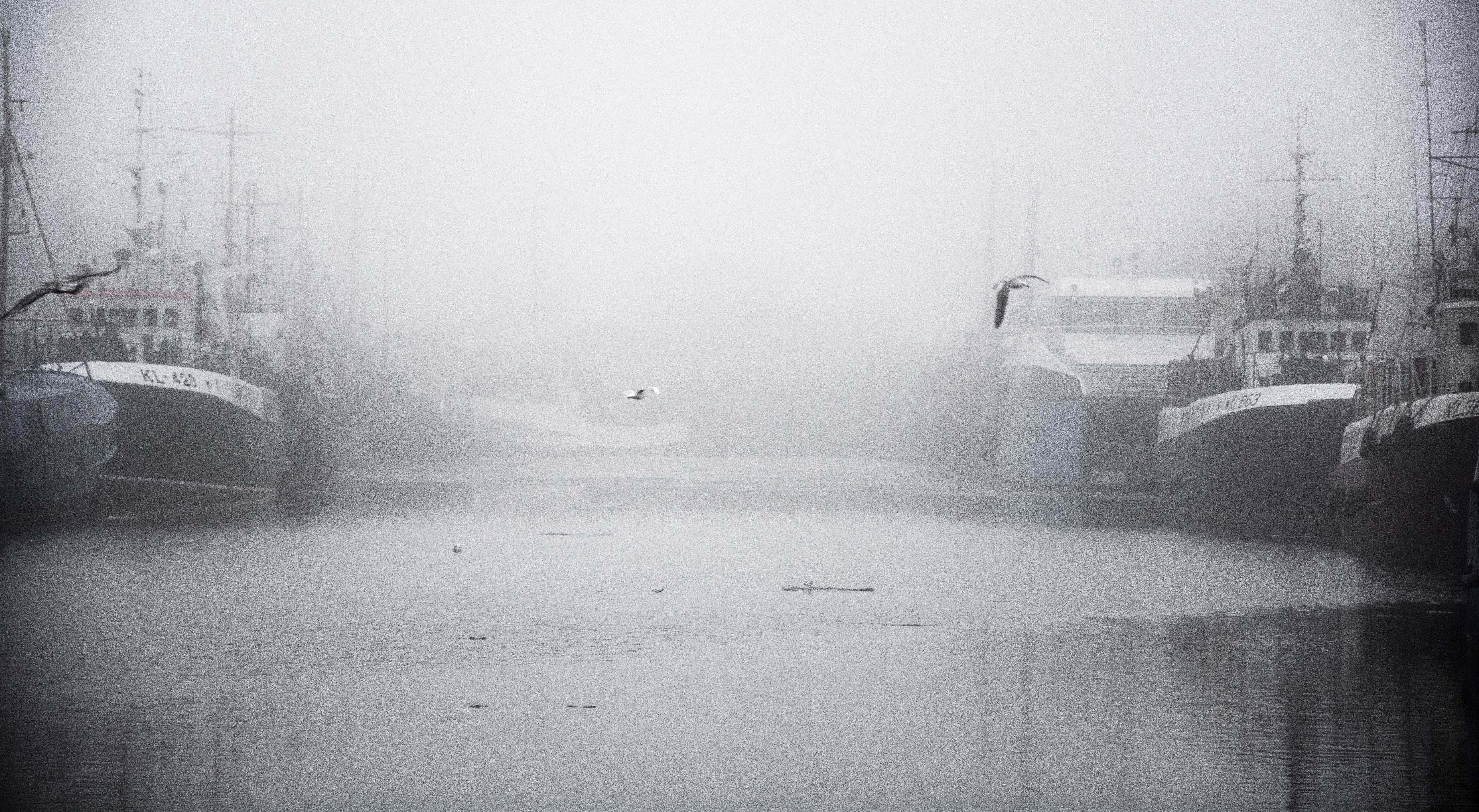 fog, harbor, fishing boats, 5K Desktop Wallpaper