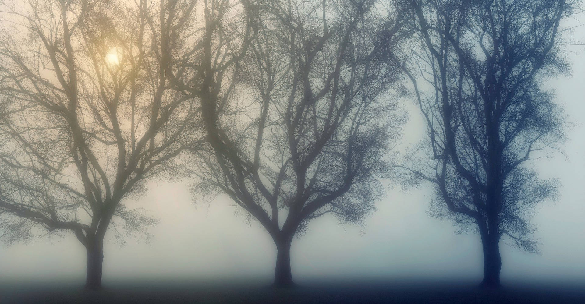 sun, fog, mist, Full HD Desktop Wallpaper
