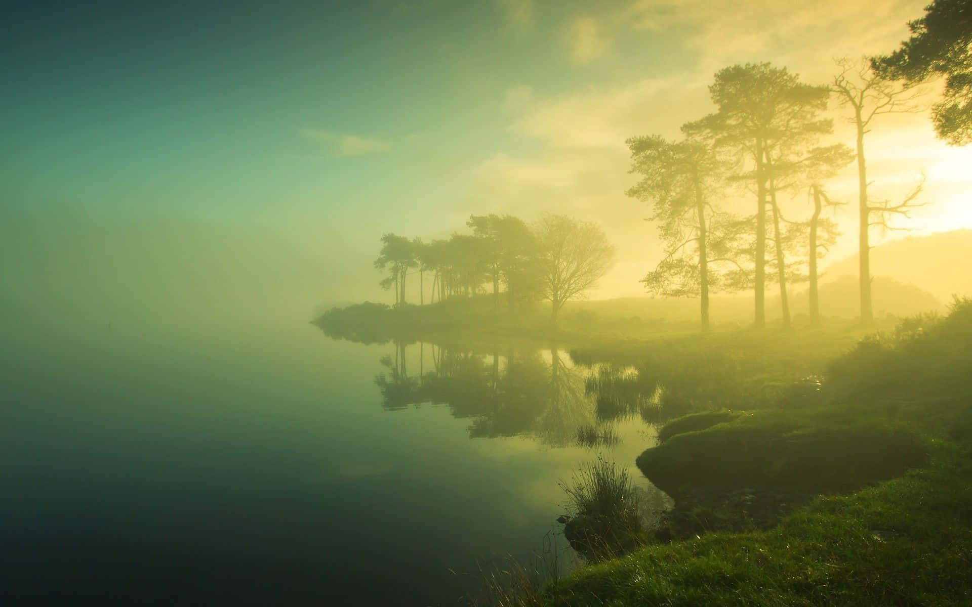 Foggy, green, natural background, Full HD Desktop Wallpaper