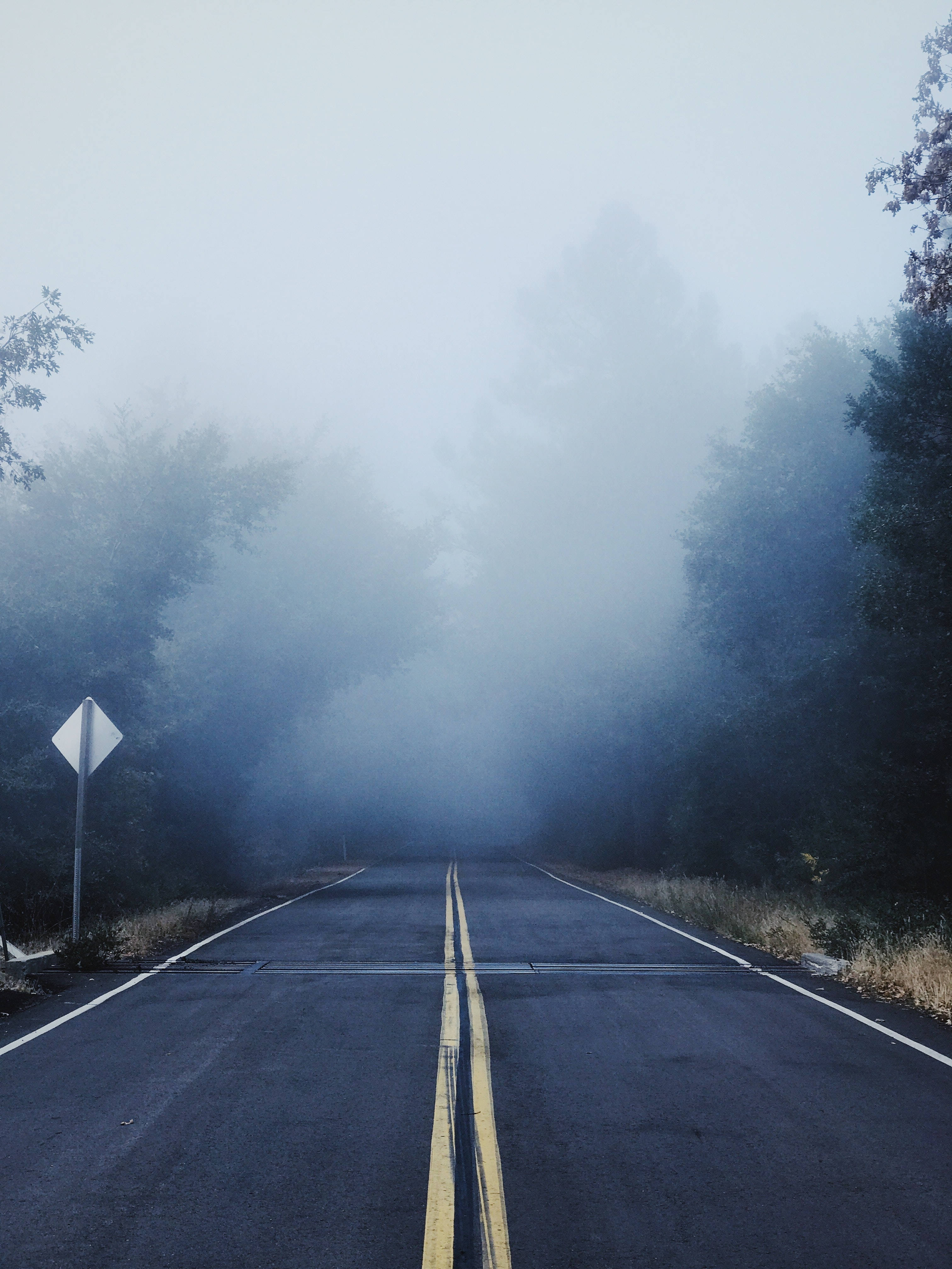 foggy road, misty forest road, thick fog, 4K Phone Wallpaper