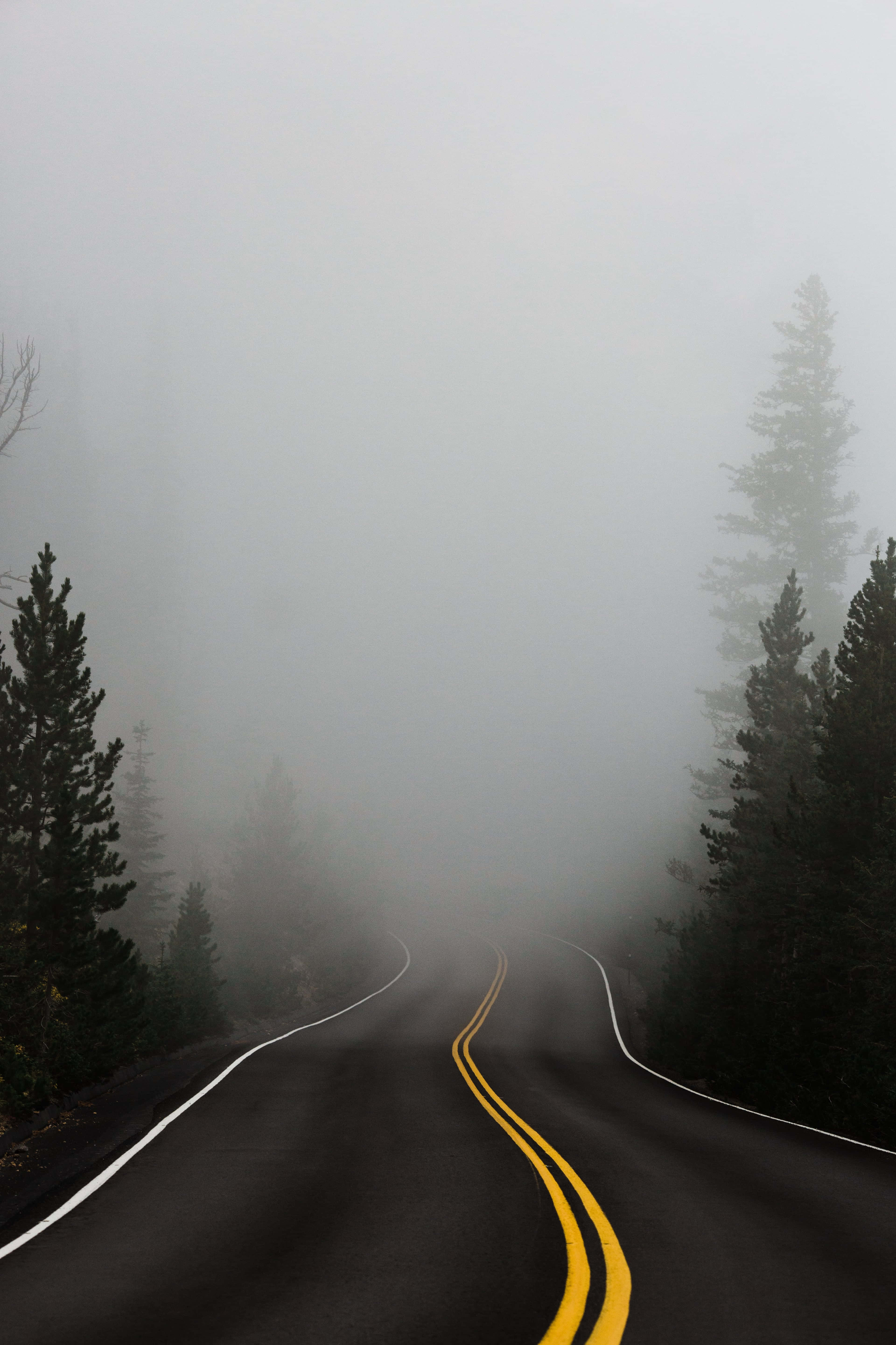 Foggy, mountain road, thick fog, 5K Phone Wallpaper